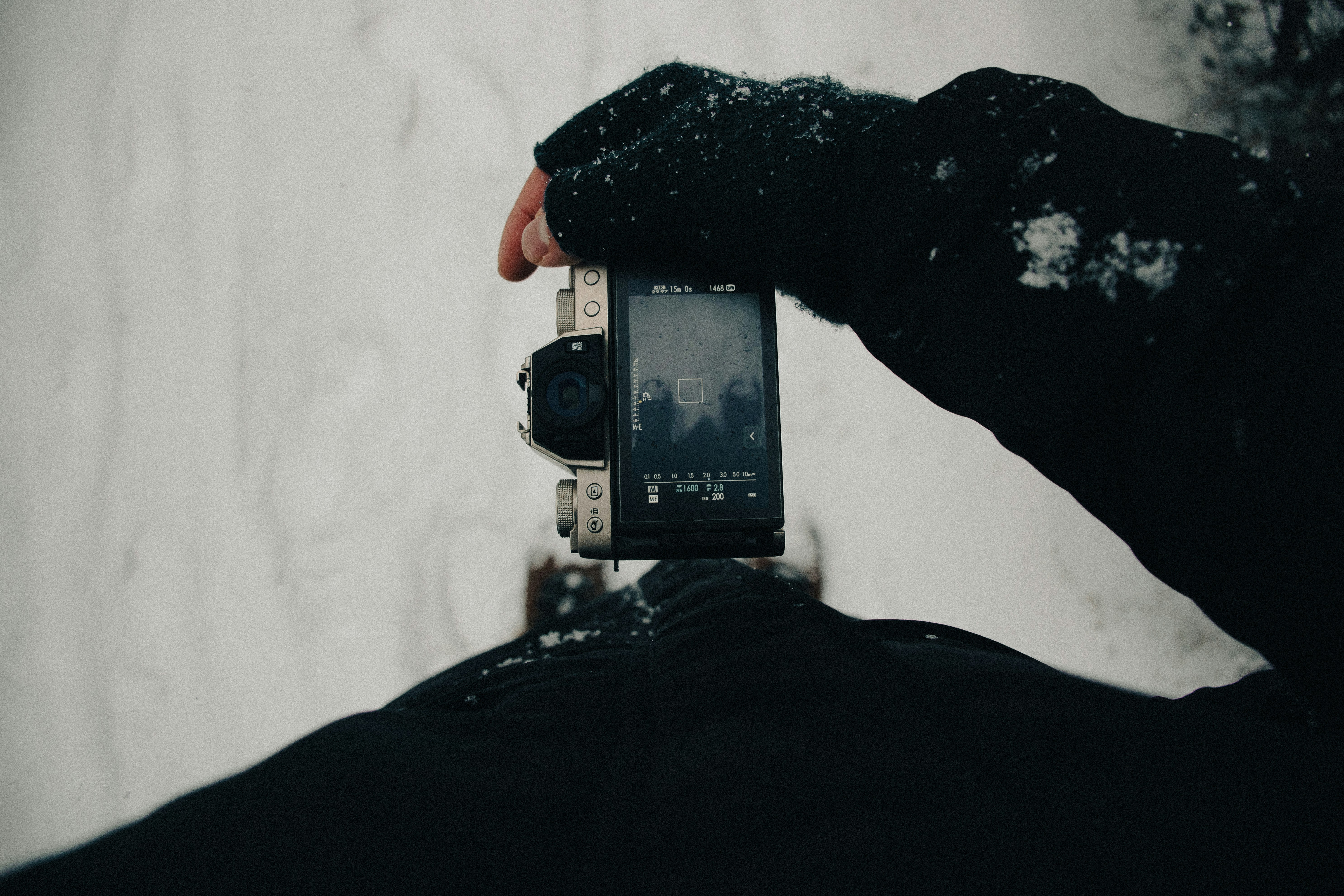 Choose from a curated selection of winter photos. Always free on Unsplash.