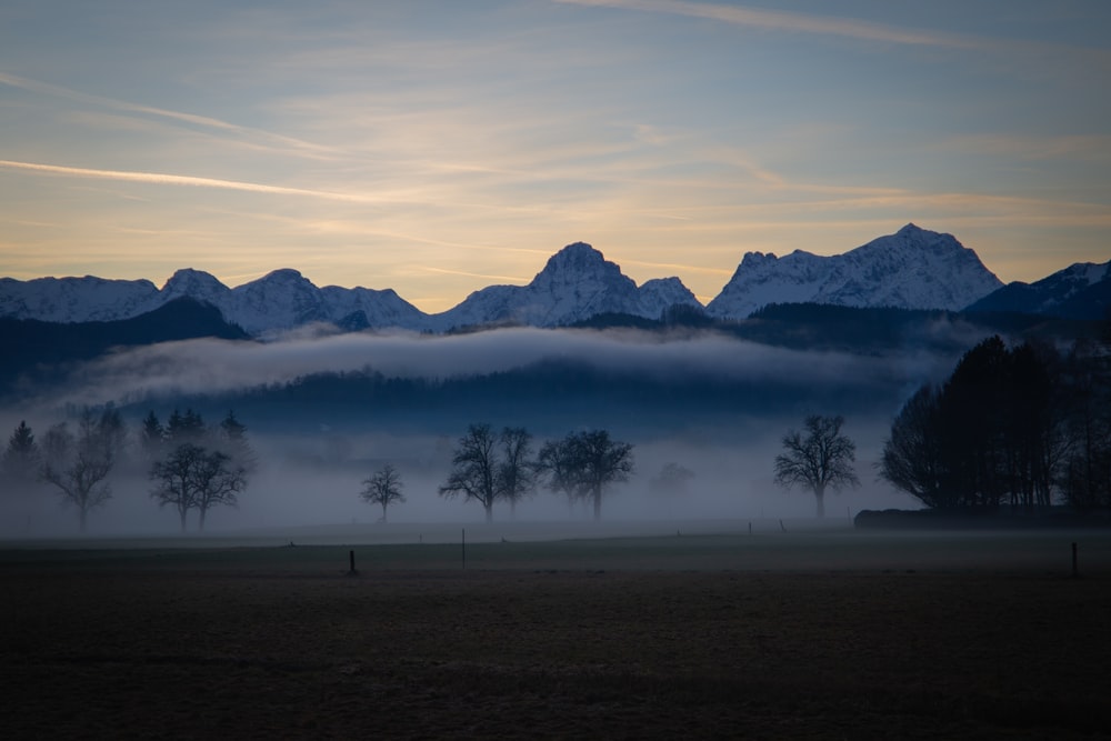a foggy field with mountains in the background