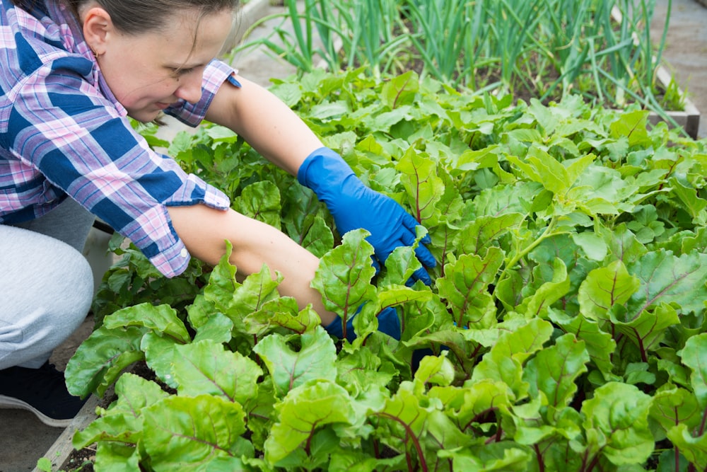 Una mujer arrodillada en un jardín con muchas plantas verdes