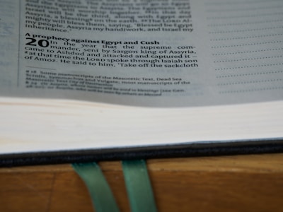 Text from a book, specifically a biblical passage, visible on a page with references to a prophecy against Egypt and Cush. The text is printed in a black serif font with section headings highlighted in bold.