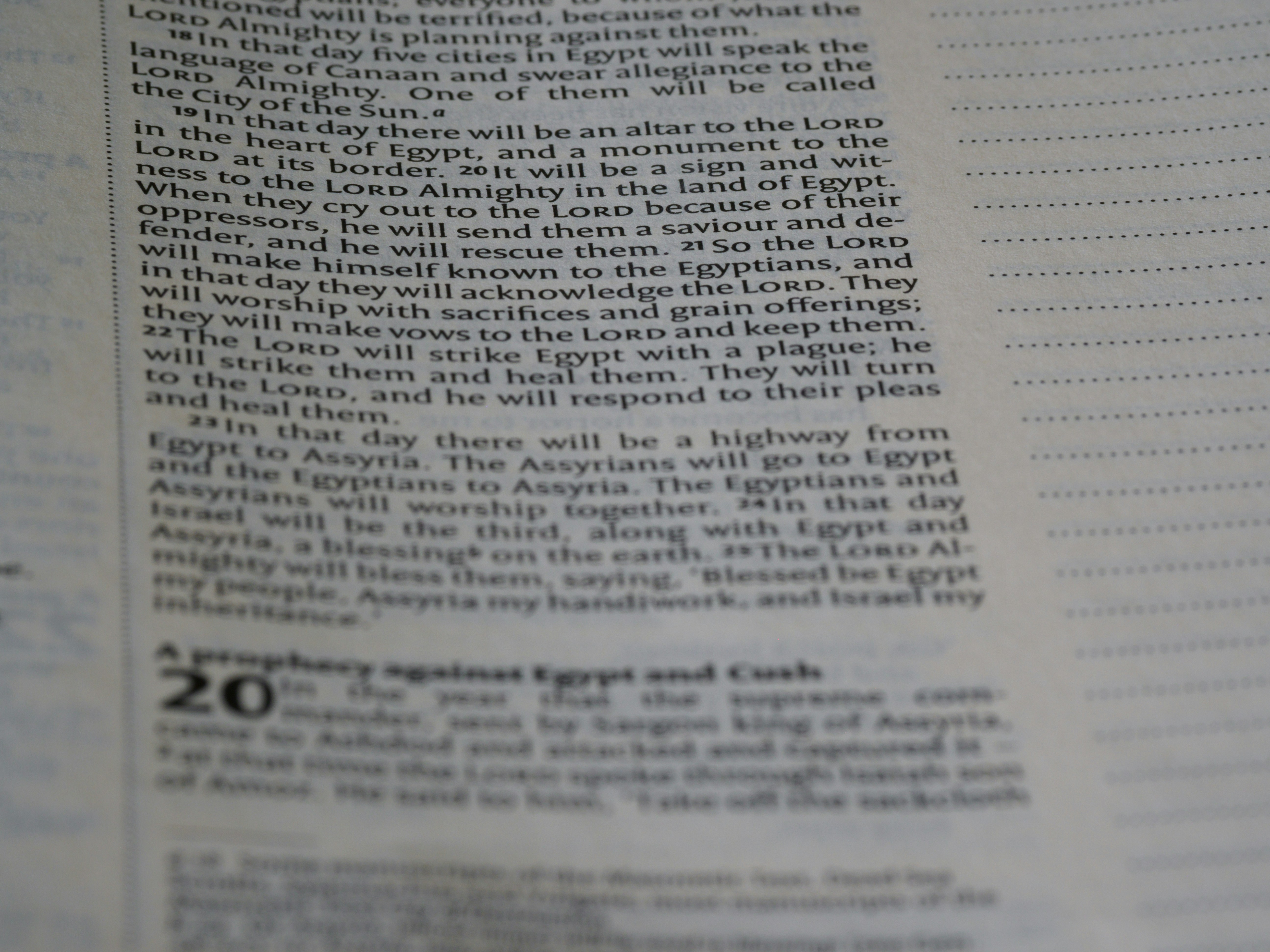 Photo by brett_jordan