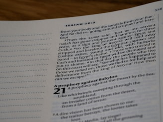 An open book displaying a passage from the Bible with a focus on Isaiah 20:3. The verses are printed in black text on a white page, and the layout includes left-aligned, justified text with chapter and verse numbers in bold. There is an empty margin on the left side.