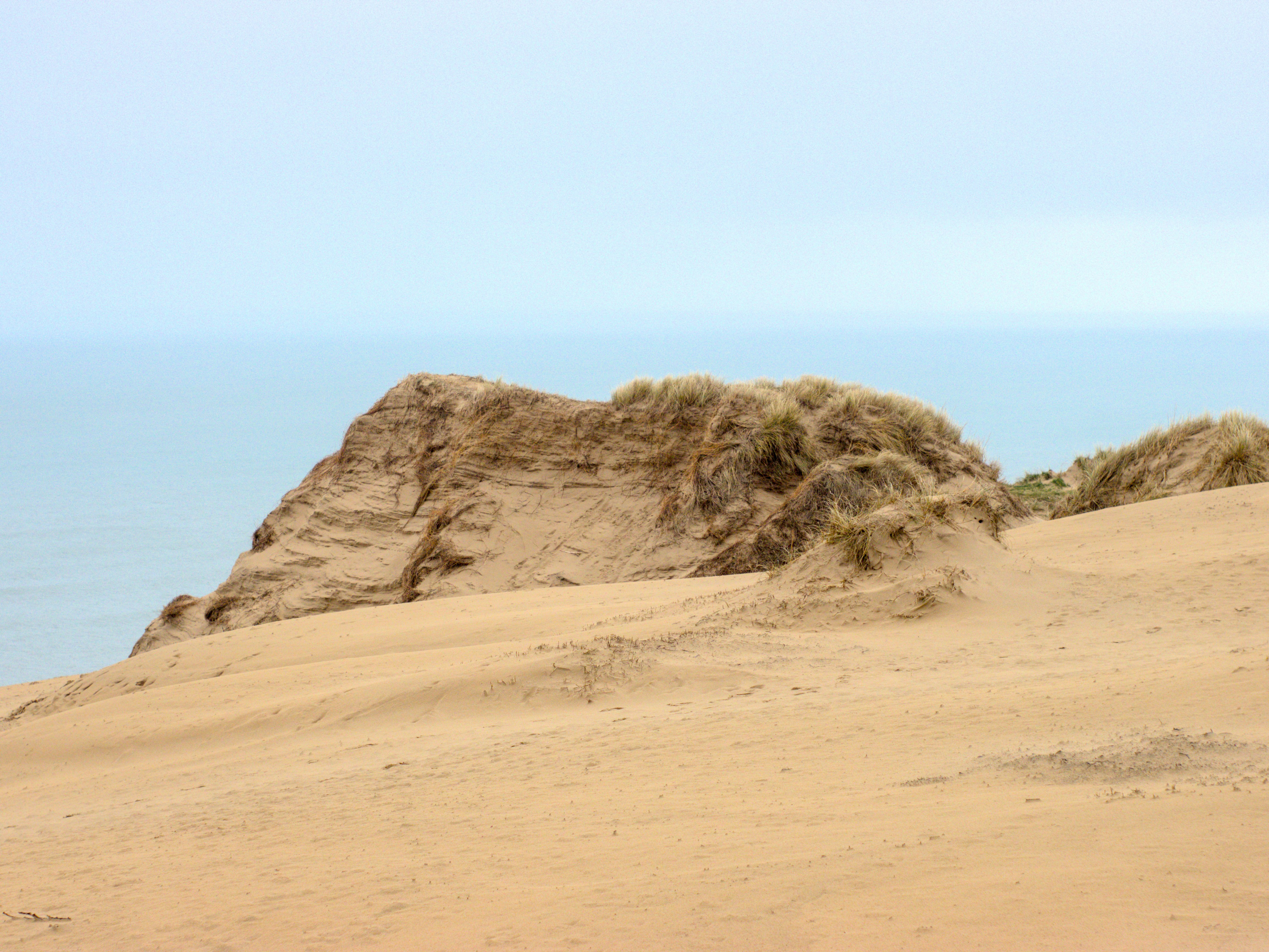 silhouette of 2 people standing on hill during daytime