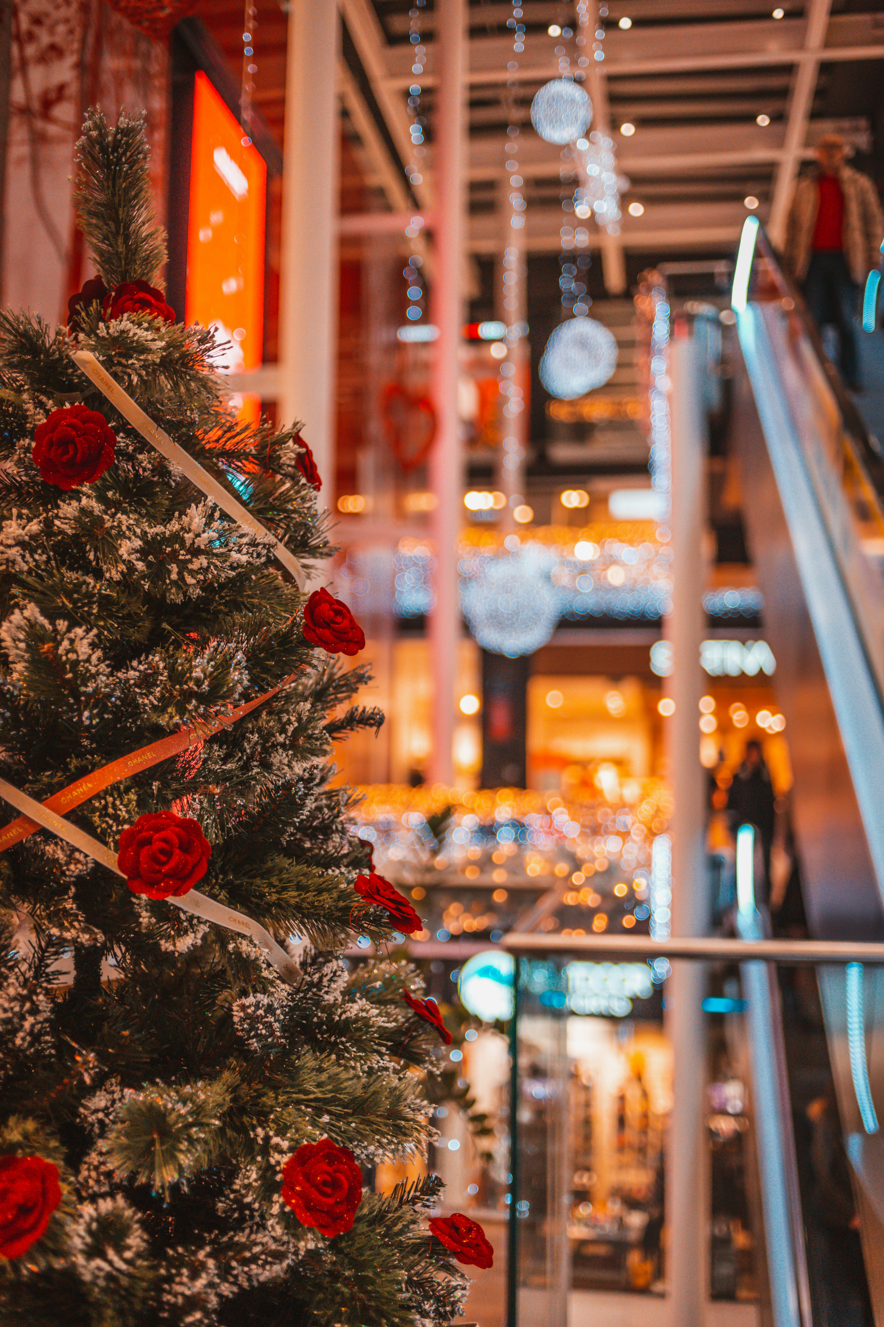 Photo by ulixcreative