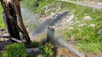 A small rainbow appears in the mist of a water stream shooting from a broken pipe on a rocky hillside. Lush green plants and bright yellow flowers contrast with the rough texture of the rocks. A standing charred tree trunk is visible nearby, and a road runs along the edge in the background.
