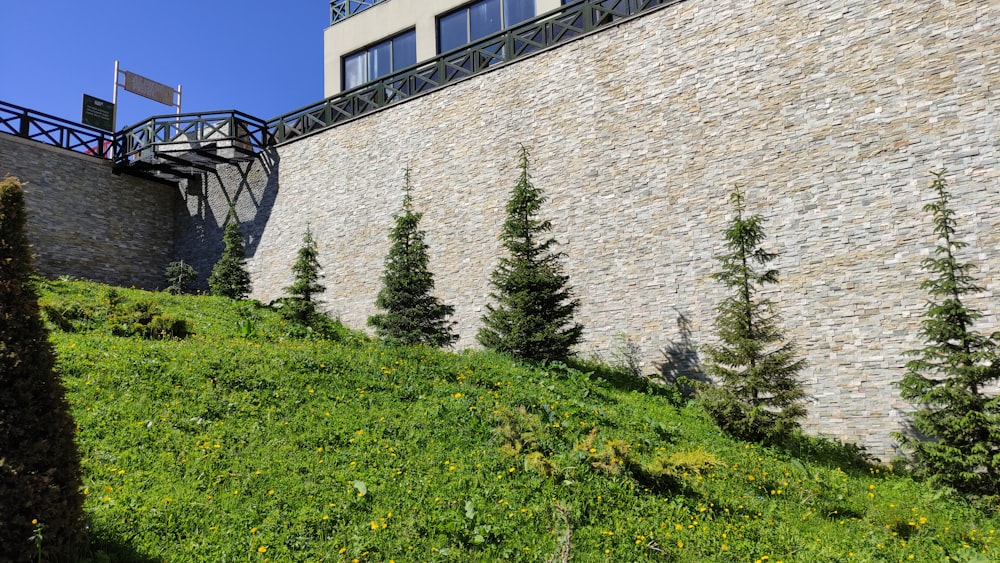 a building on a hill with trees on the side