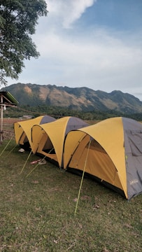 A row of yellow and gray tents is pitched on a grassy field with a backdrop of lush green mountains. A leafy tree provides shade on the left side of the image, and part of a wooden structure is visible nearby.