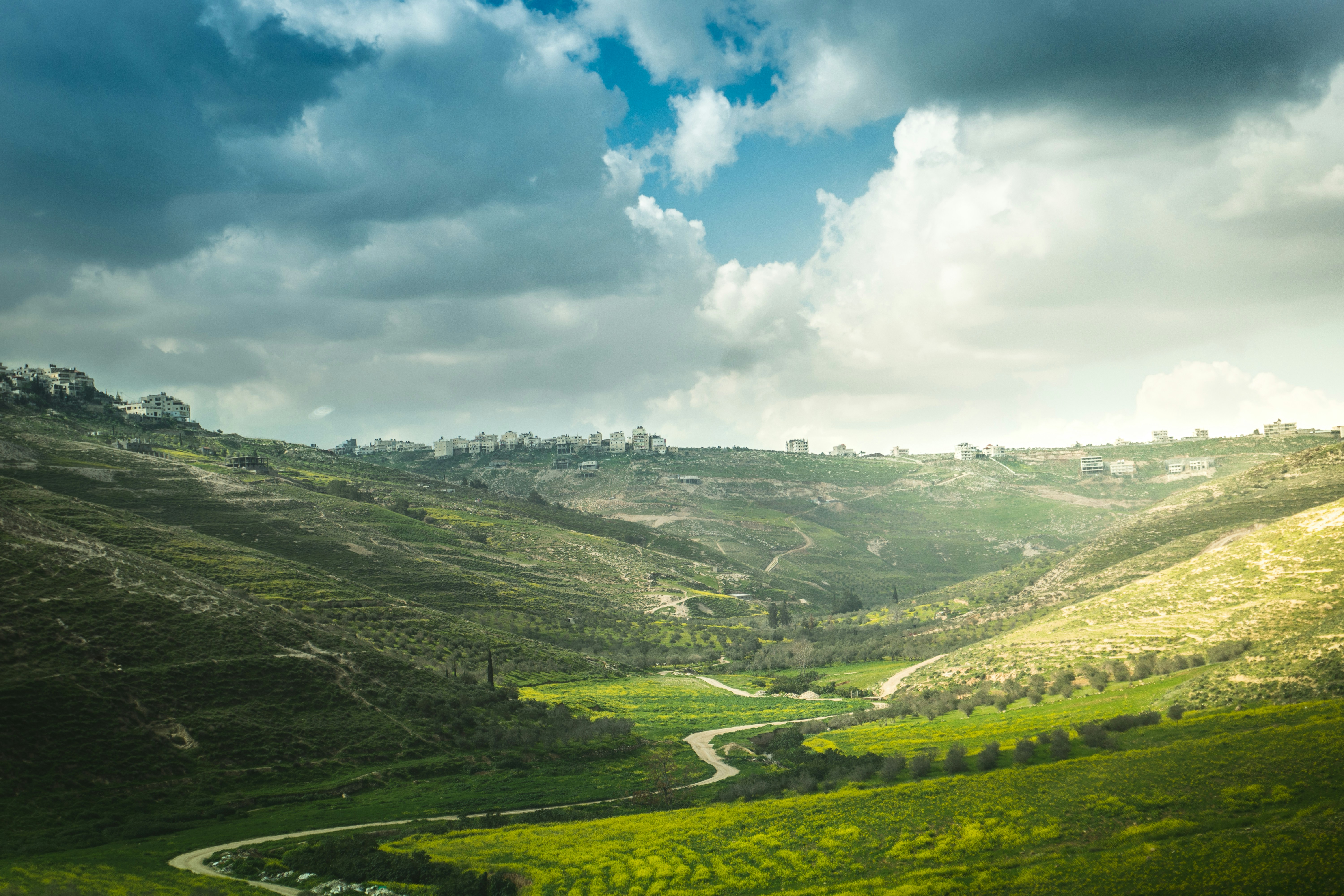 Photo by ulixcreative