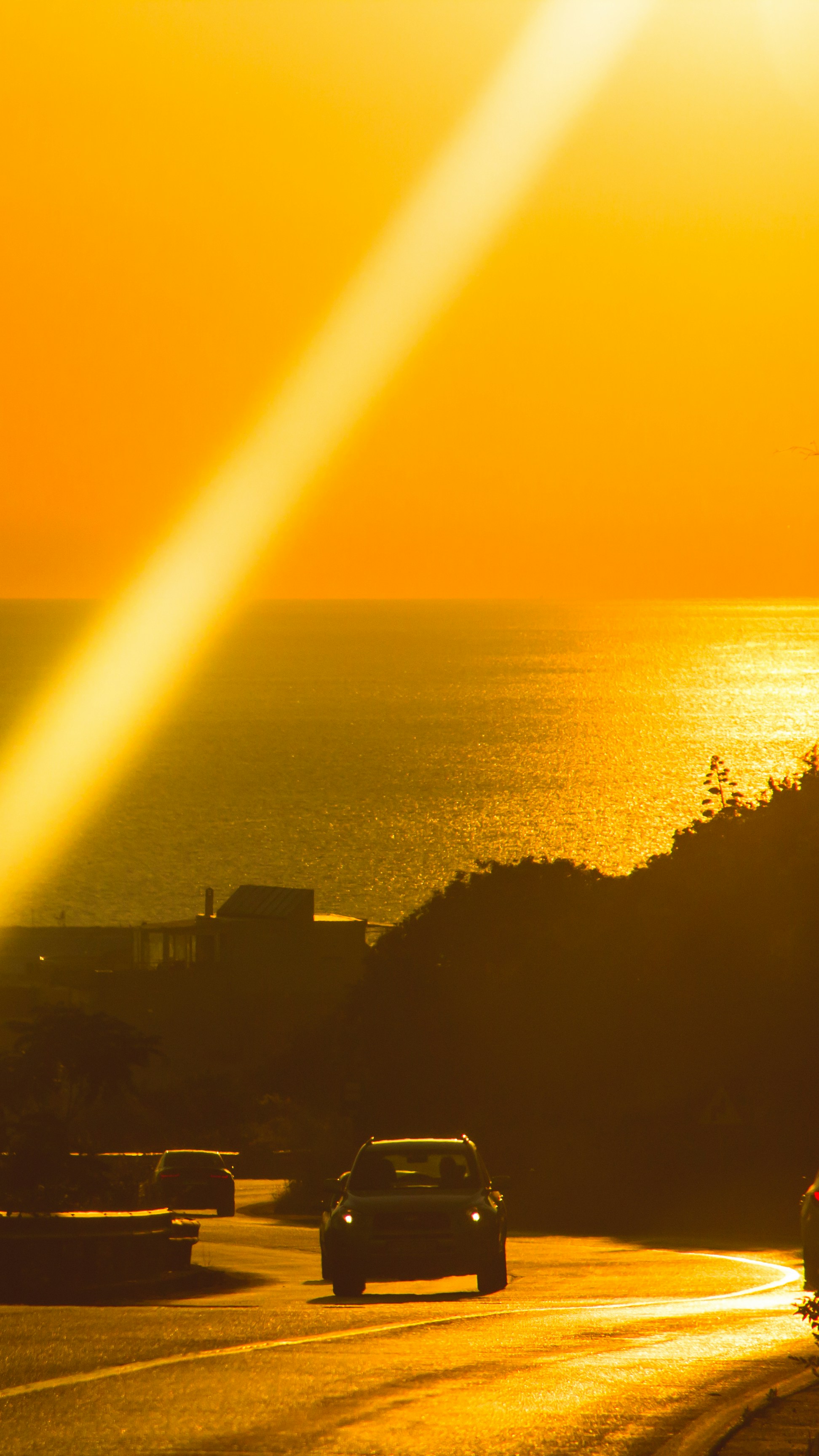 Photo by ulixcreative