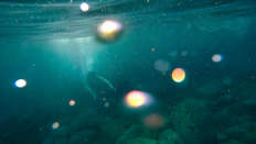 Close-up of a remotely operated vehicle maneuvering near a rugged subsea pipeline, lit by vibrant underwater lights.