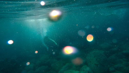 An underwater scene with a diver swimming through dark blue-green water. Light filters from the surface, creating colorful bokeh effects and illuminating the rocky seabed.
