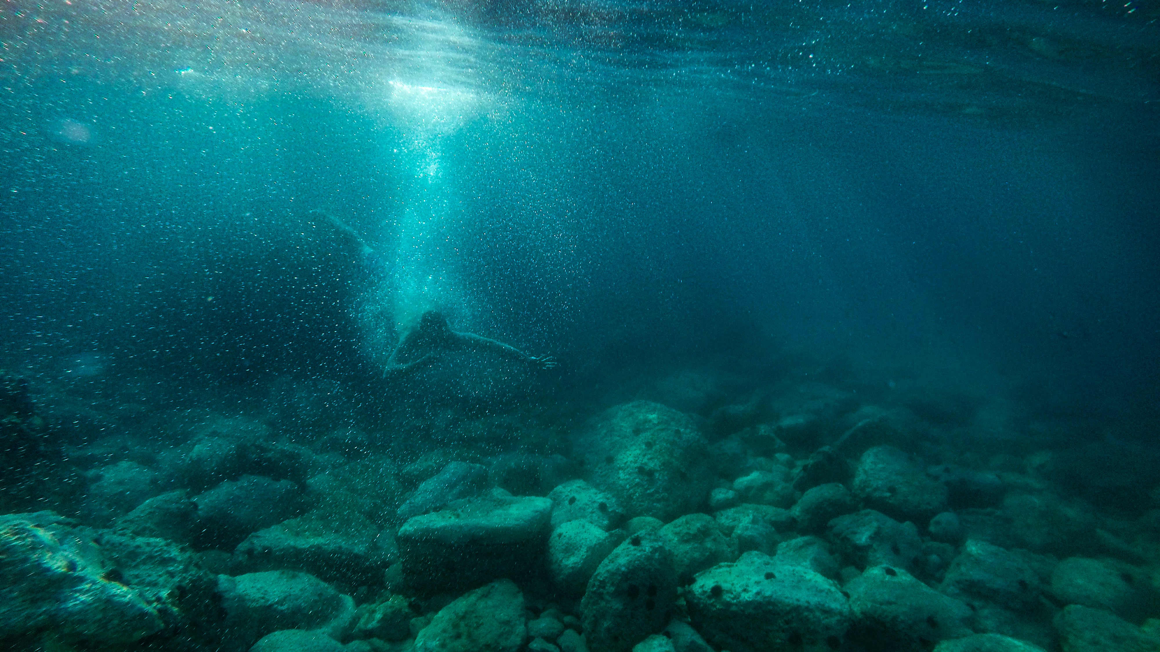 Photo by ulixcreative