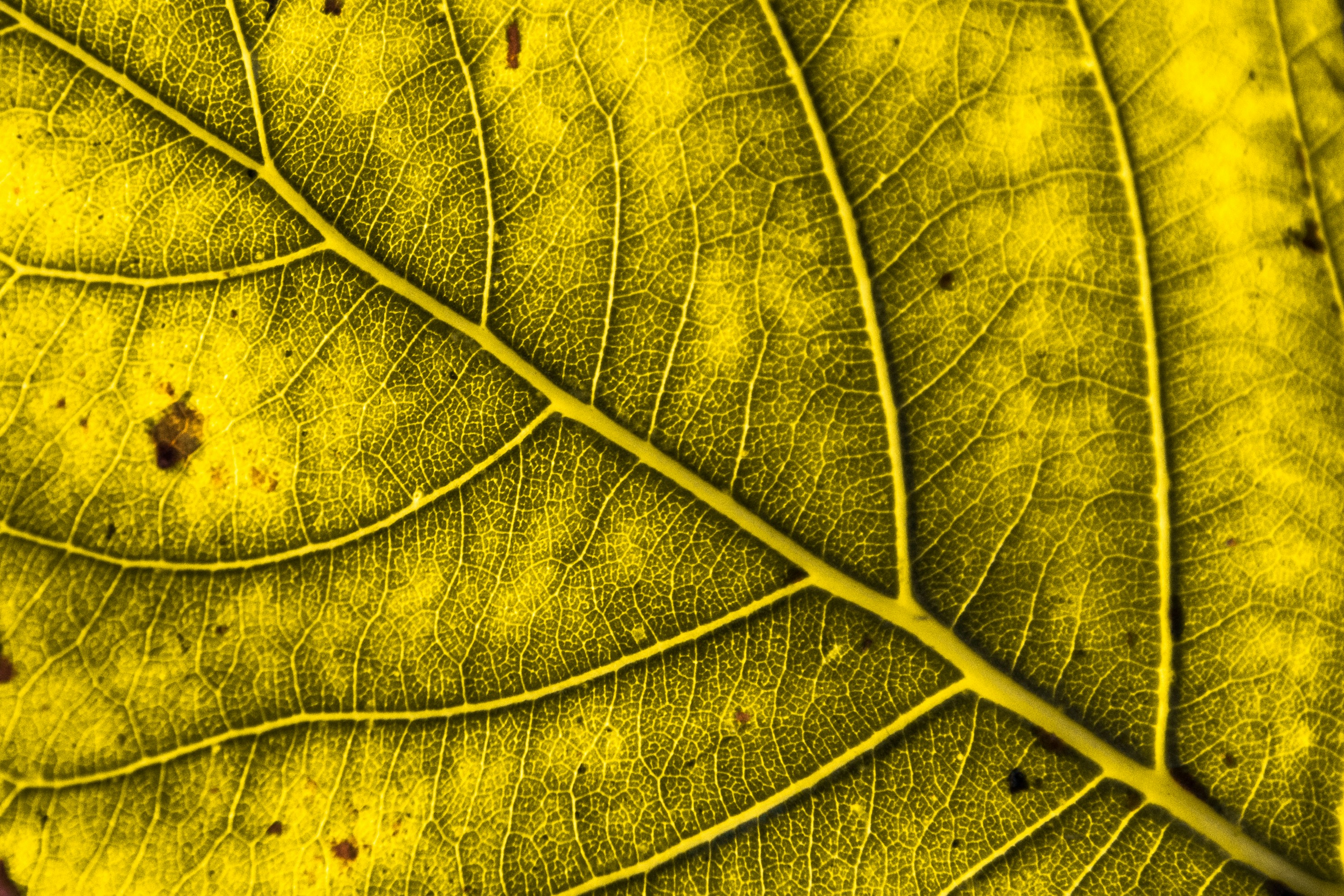 Photo by ulixcreative