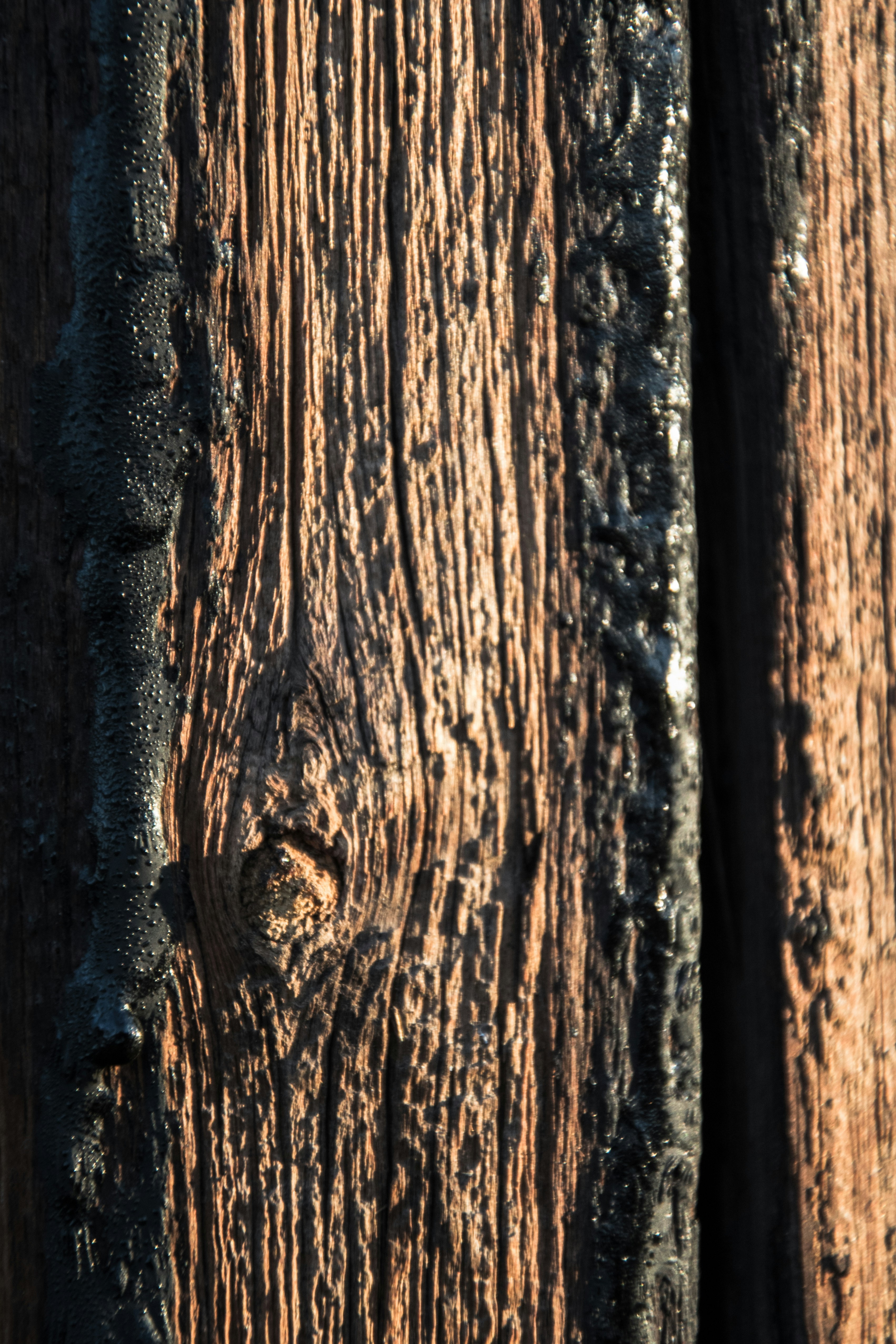 Photo by ulixcreative