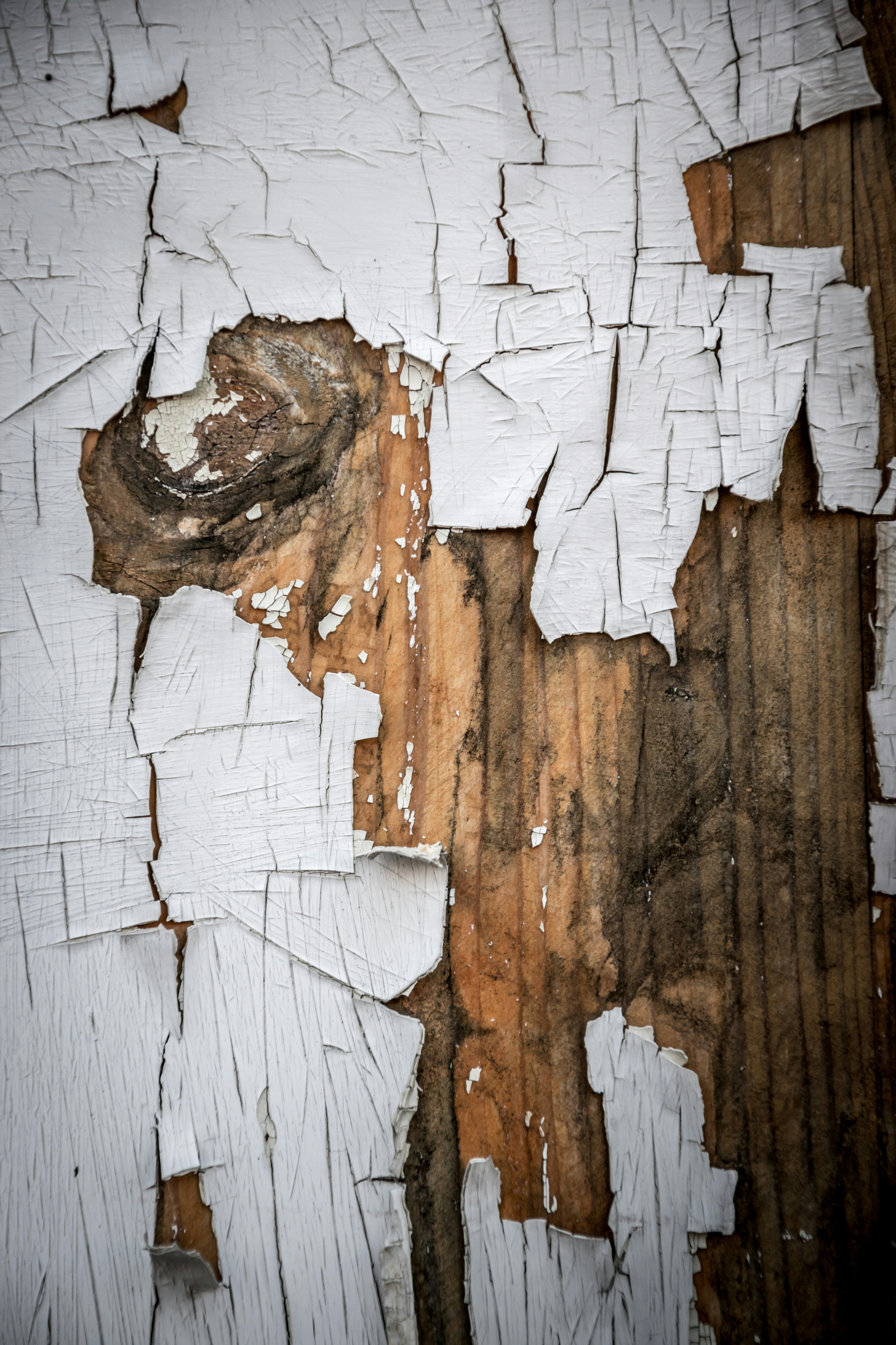 Photo by ulixcreative