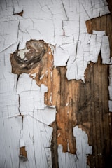 a close up of peeling paint on a wooden surface