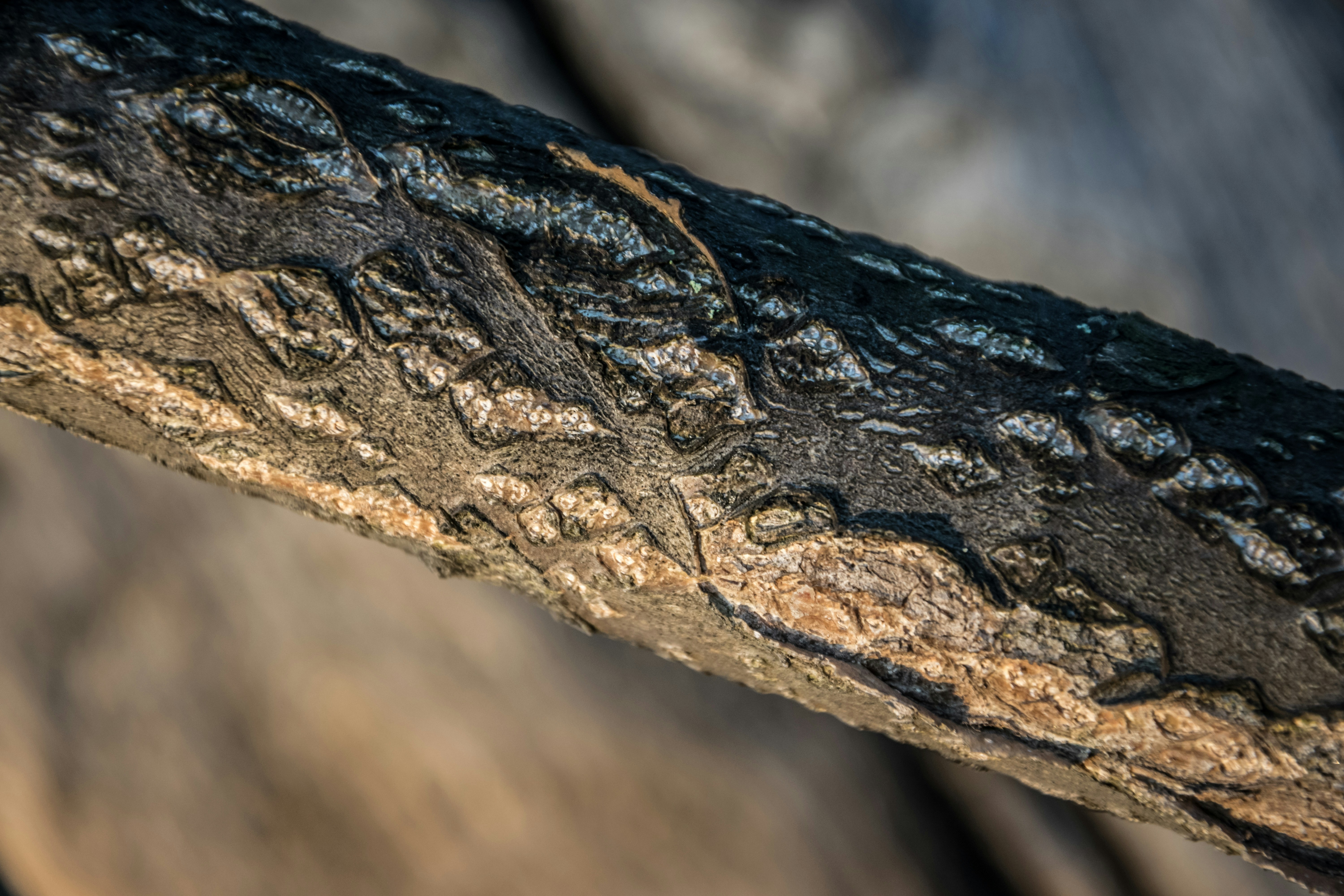 Photo by ulixcreative