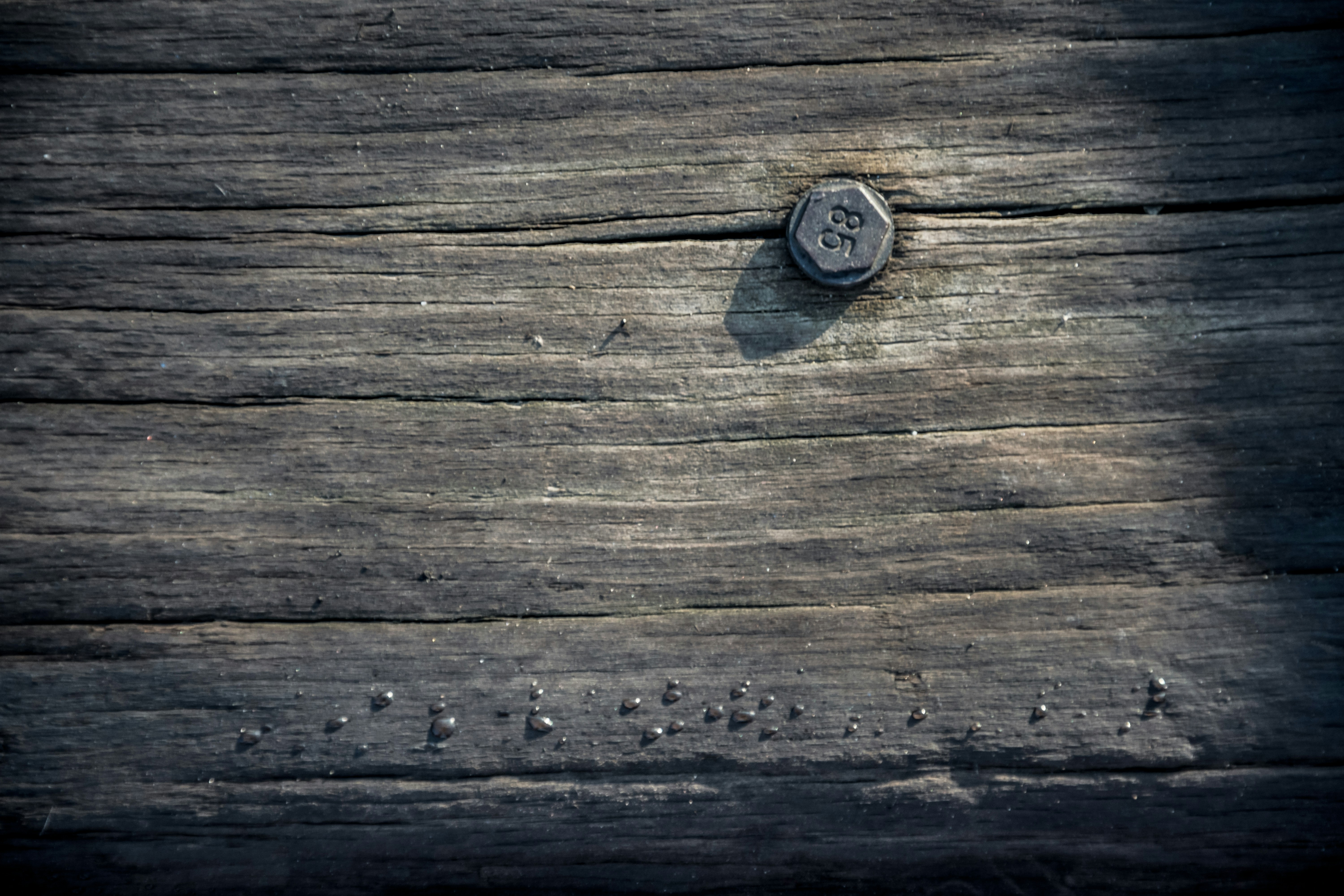 Photo by ulixcreative