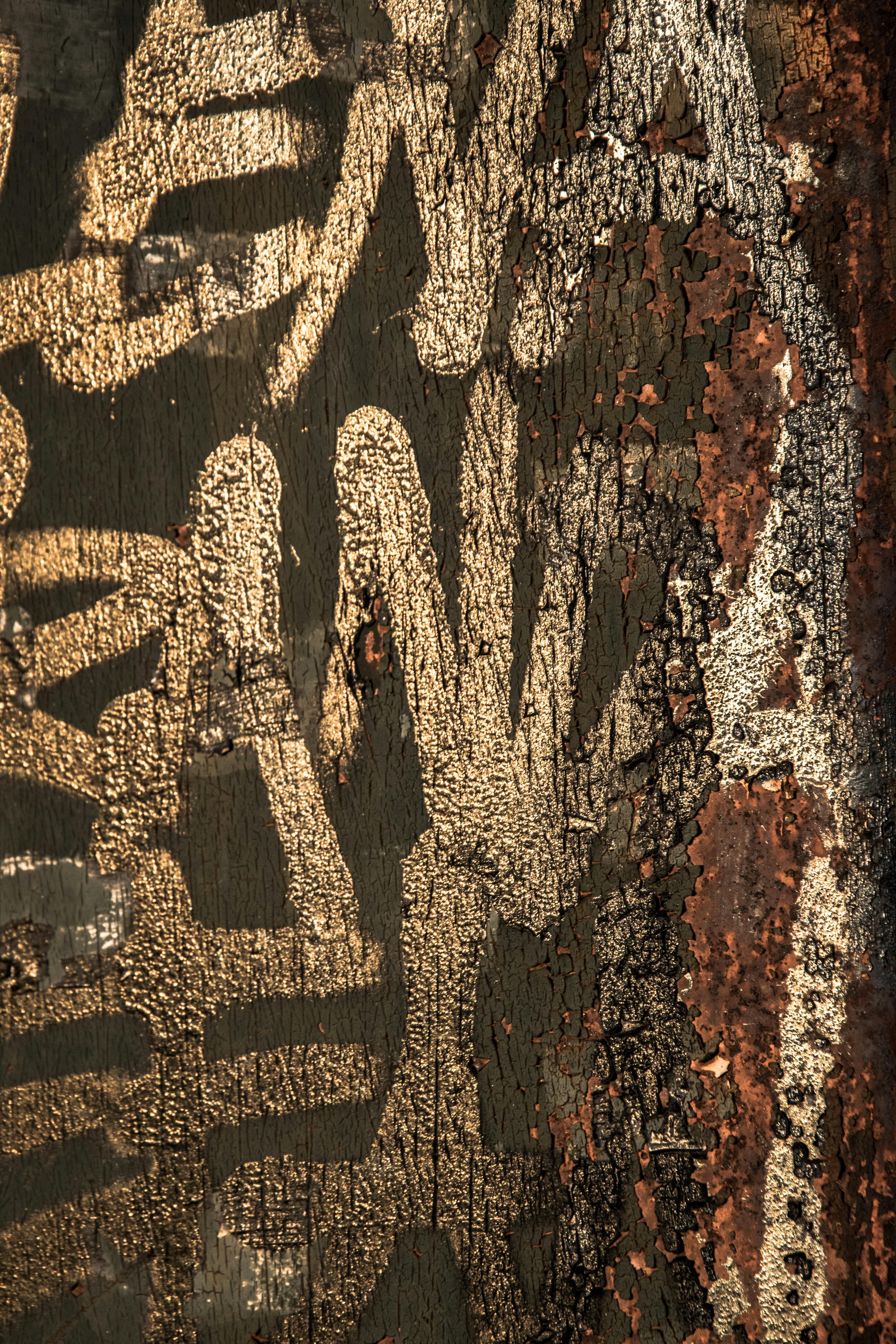 Photo by ulixcreative