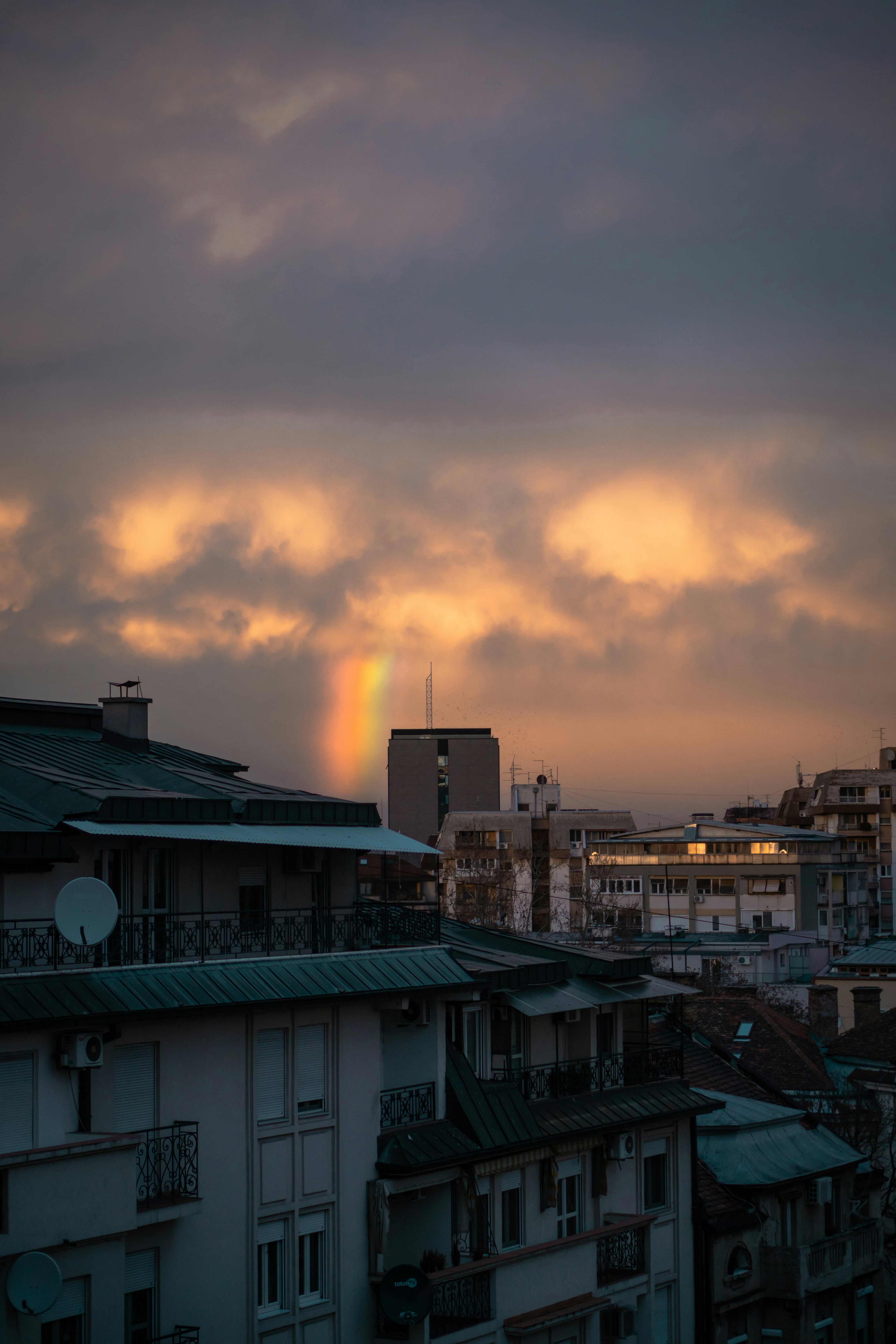 Photo by ulixcreative