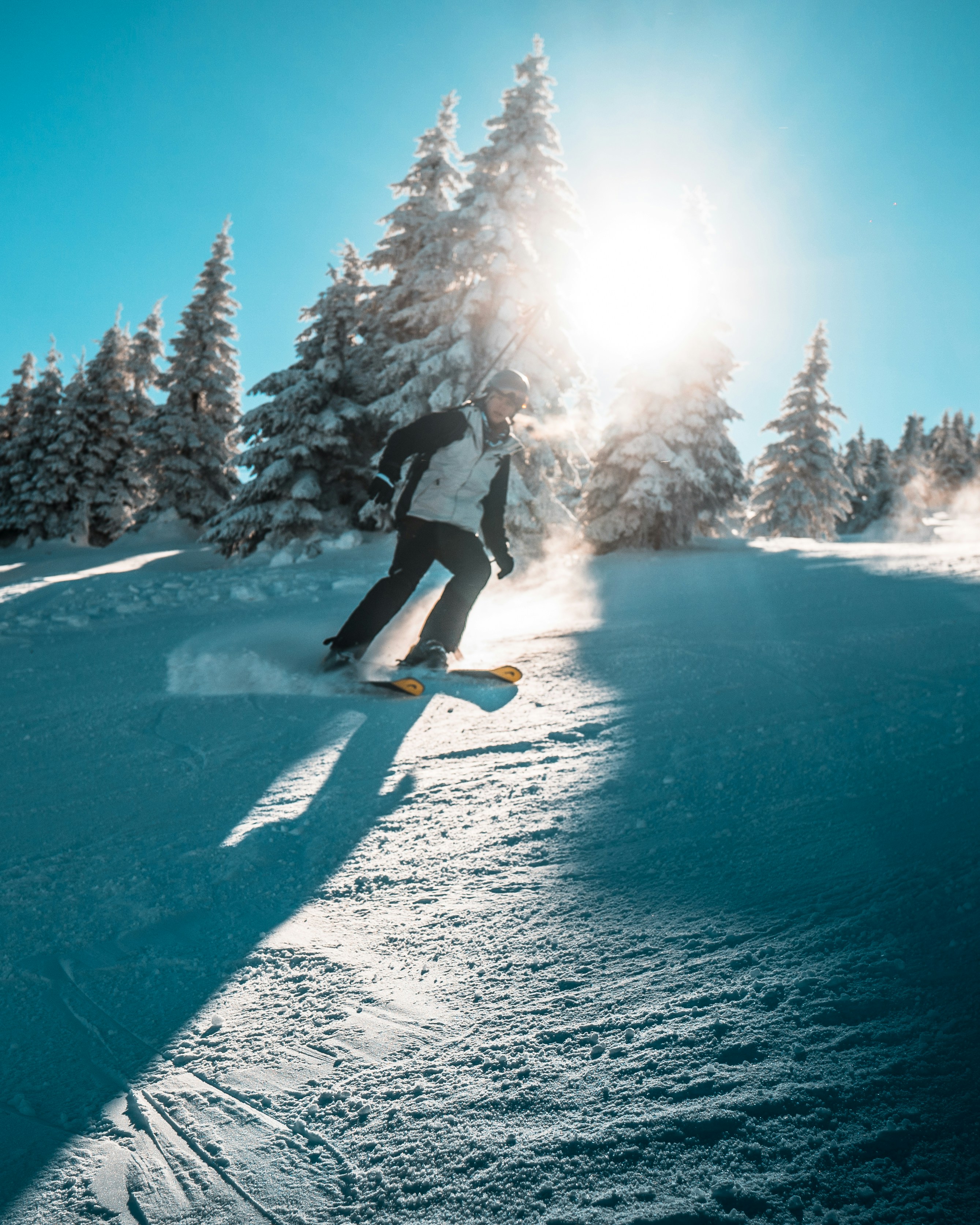 Photo by ulixcreative