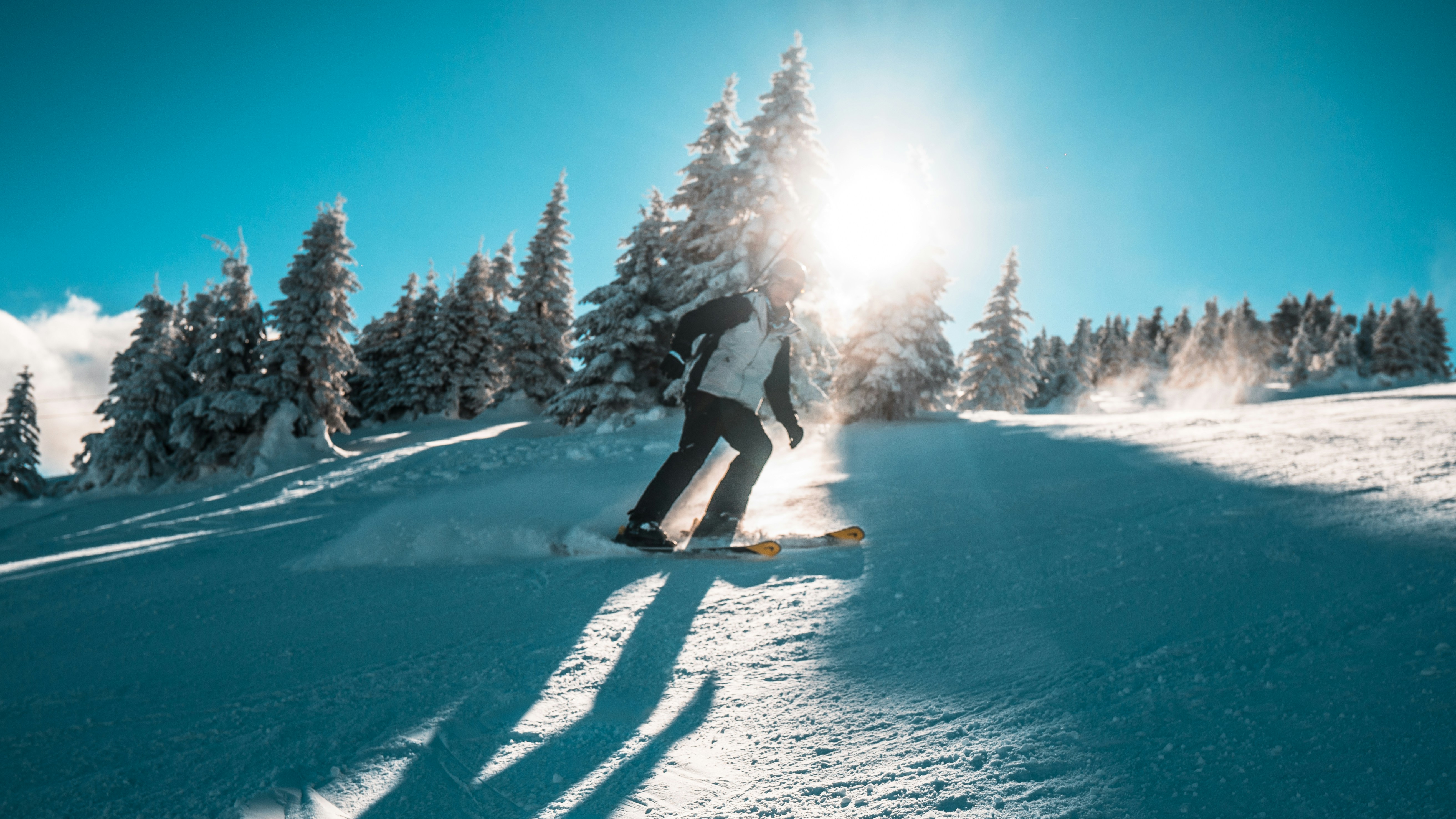 Photo by ulixcreative