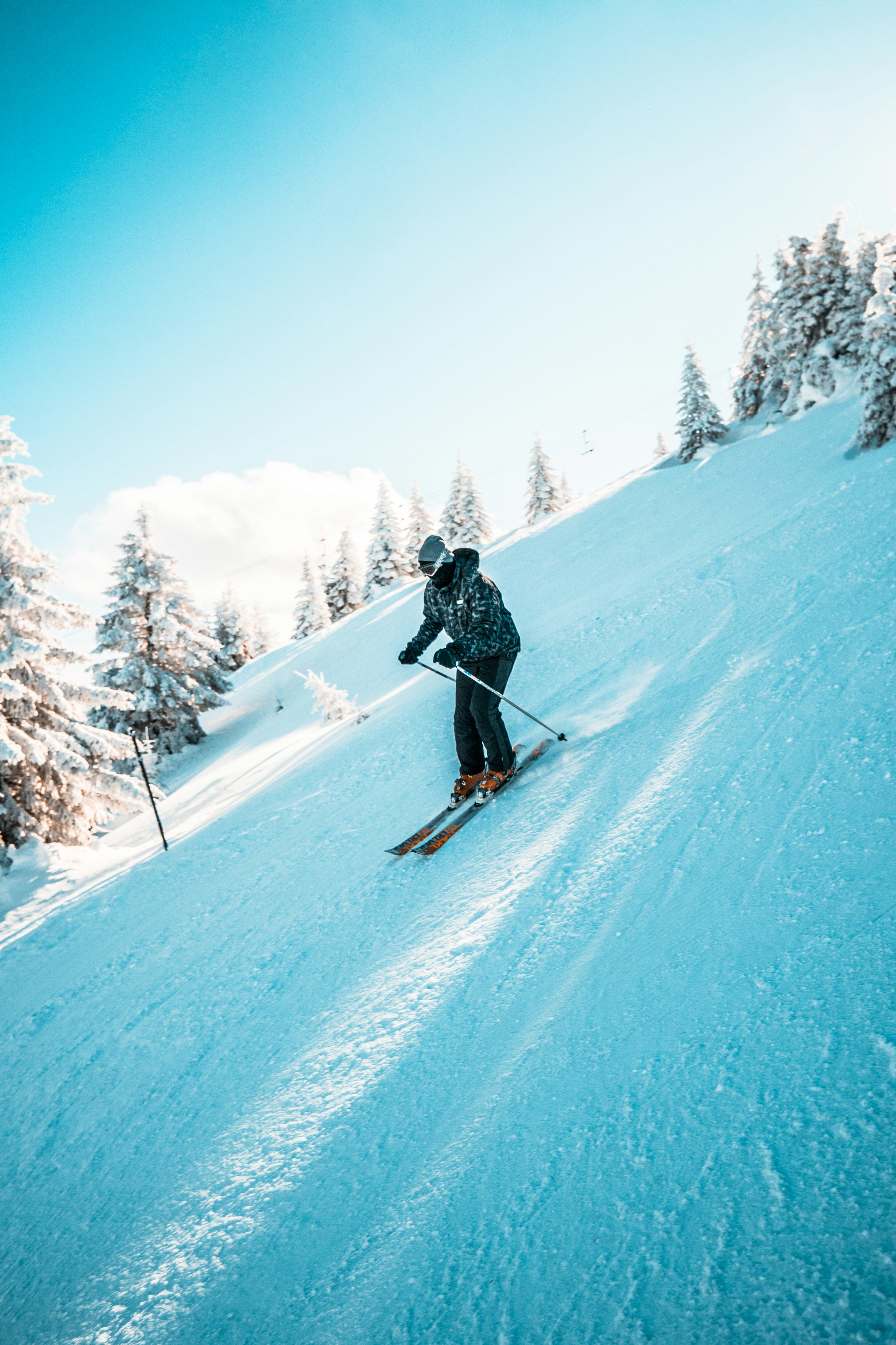 Photo by ulixcreative