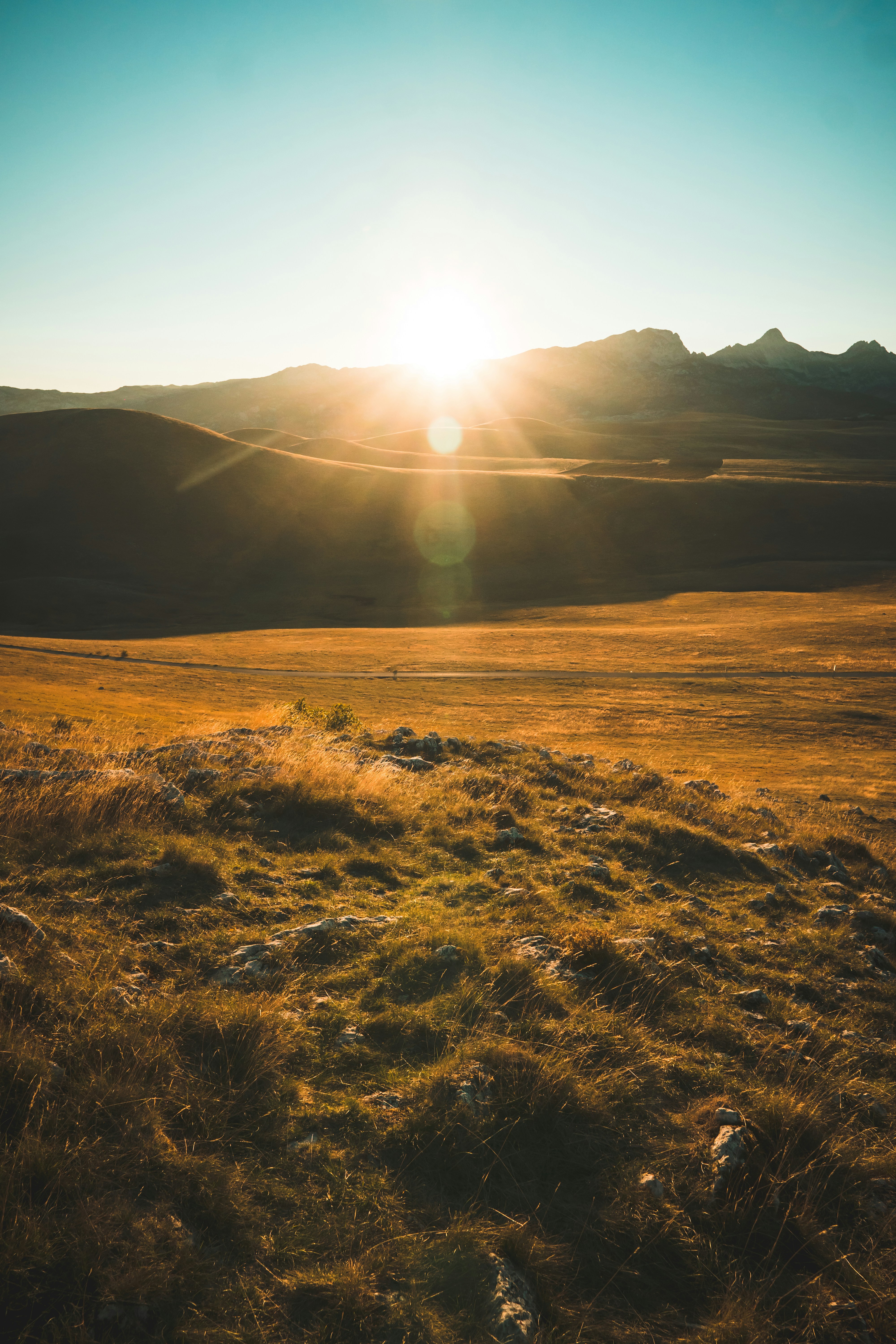 Photo by ulixcreative