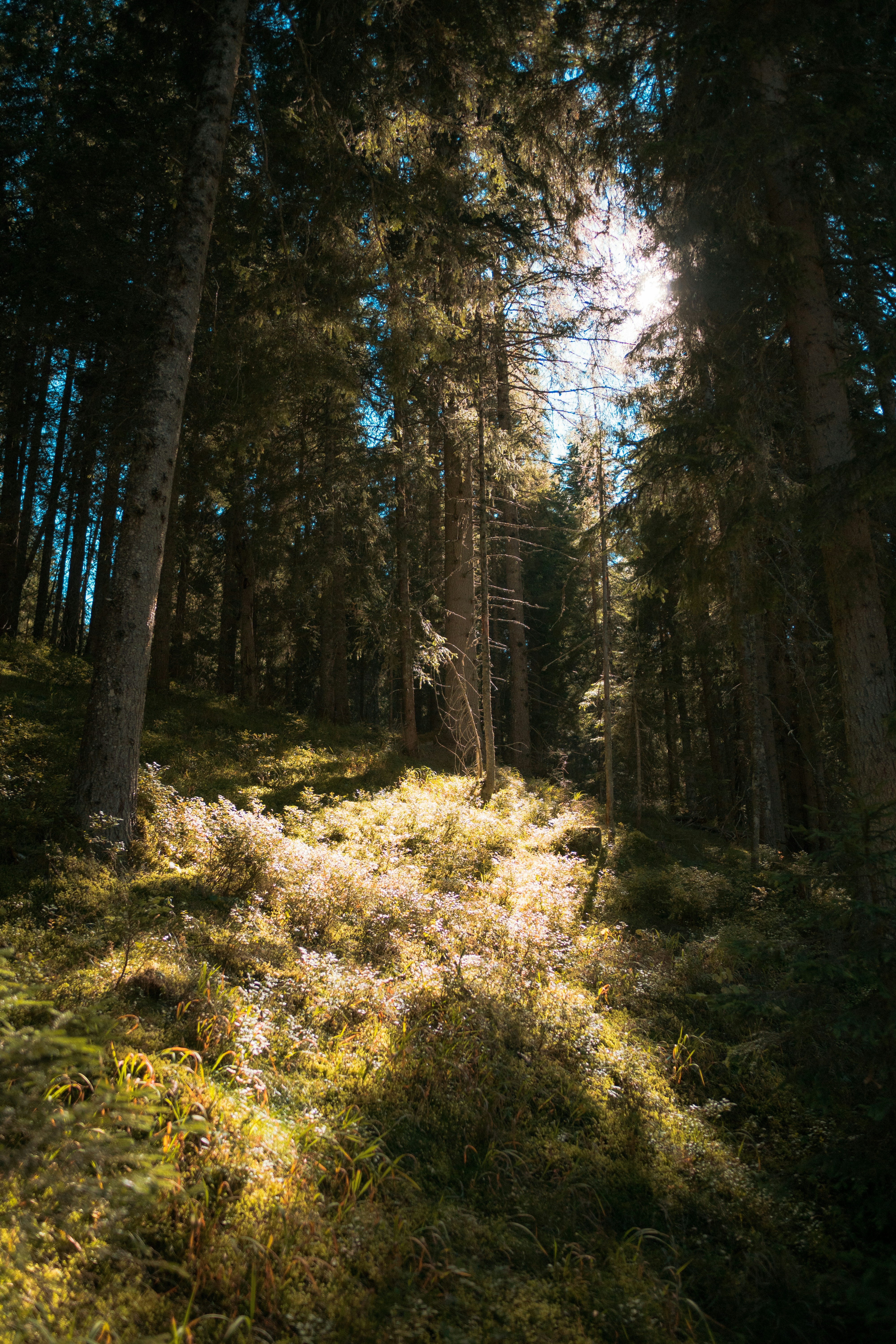 Photo by ulixcreative