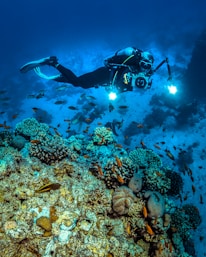 a person scubas over a coral reef with a camera