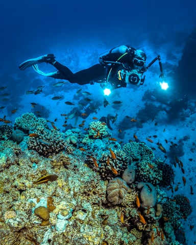 a person scubas over a coral reef with a camera