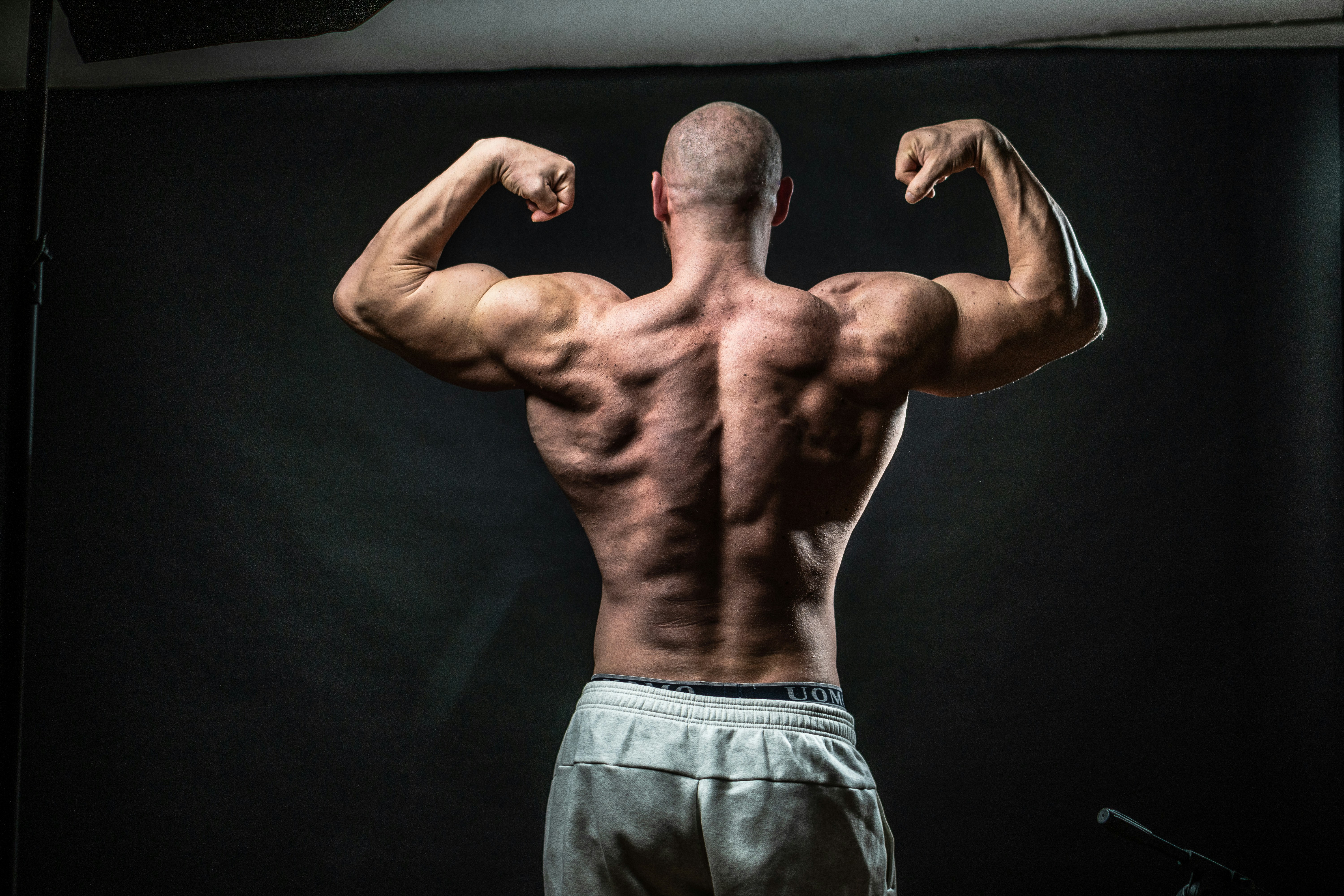 Built Different: The Science Behind Why Turkish Athletes Excel in Physique Sports — and What That Means for Your Training