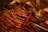 A collection of cured sausages is arranged on a surface, with strings attached for hanging. The background includes packaged meats and has a warm, dim lighting that emphasizes the textures.