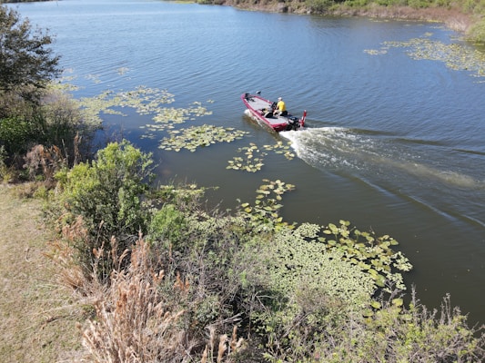 A small motorboat with a person wearing a yellow jacket is traveling through a calm river, surrounded by lush greenery and patches of aquatic plants. The water is dark, reflecting the clear blue sky. The scene is peaceful with natural vegetation and ripples created by the boat's movement.