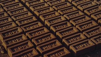 A series of brown bricks are neatly arranged in rows, with 'RDT' imprinted on each one. The setting appears to be outdoors on a dirt surface.