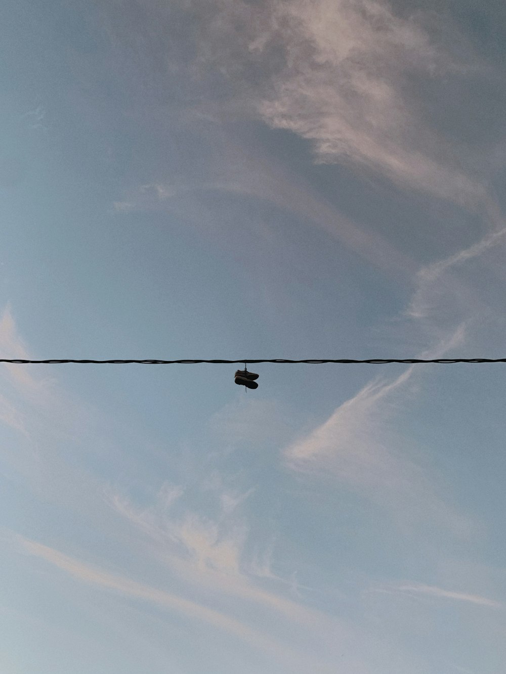 a bird sitting on a wire with a sky background