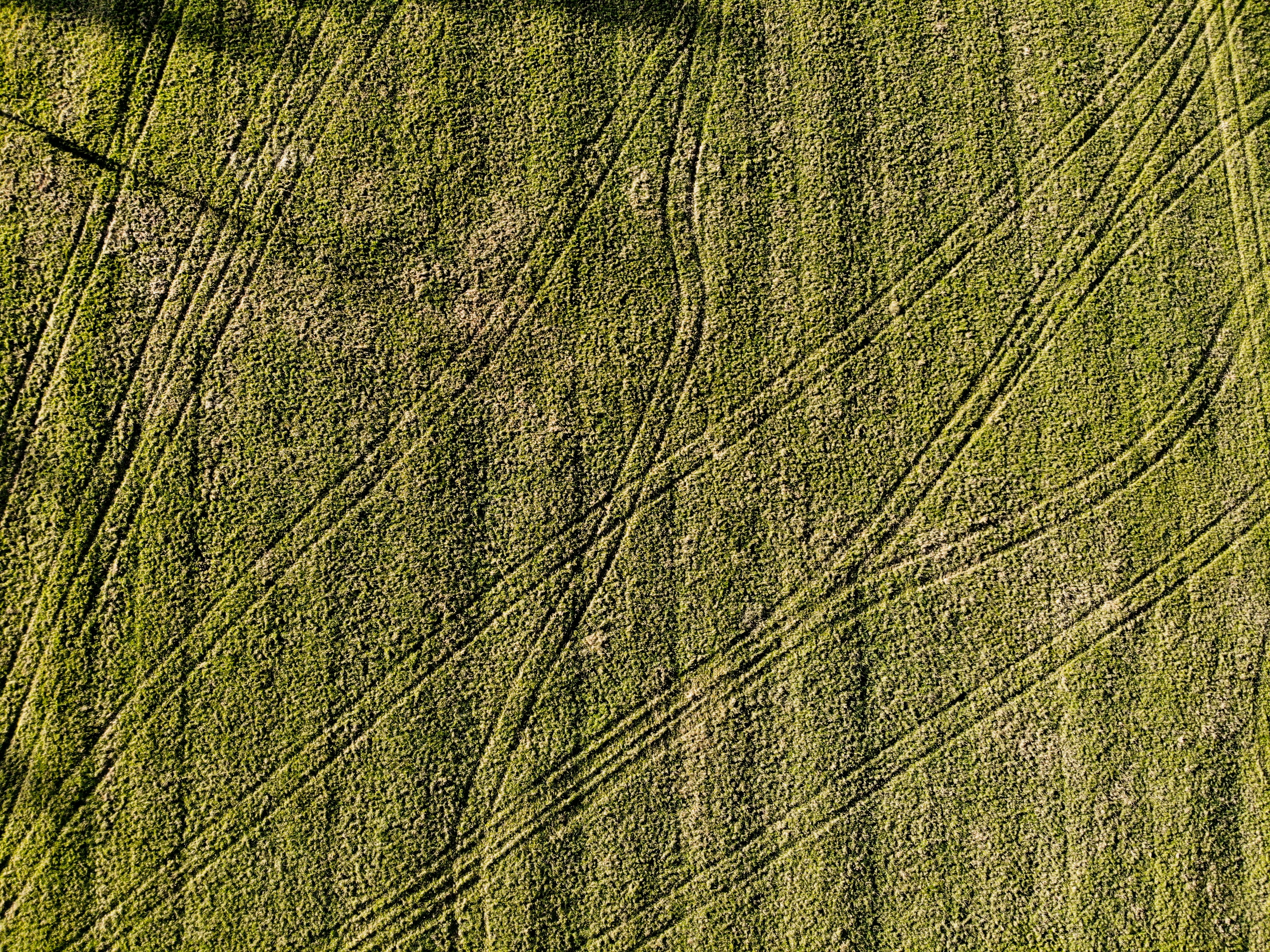 Photo by denleyjones