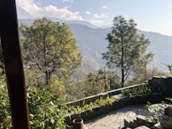 Wide shot of a countryside patio surrounded by native trees and stone pathways.