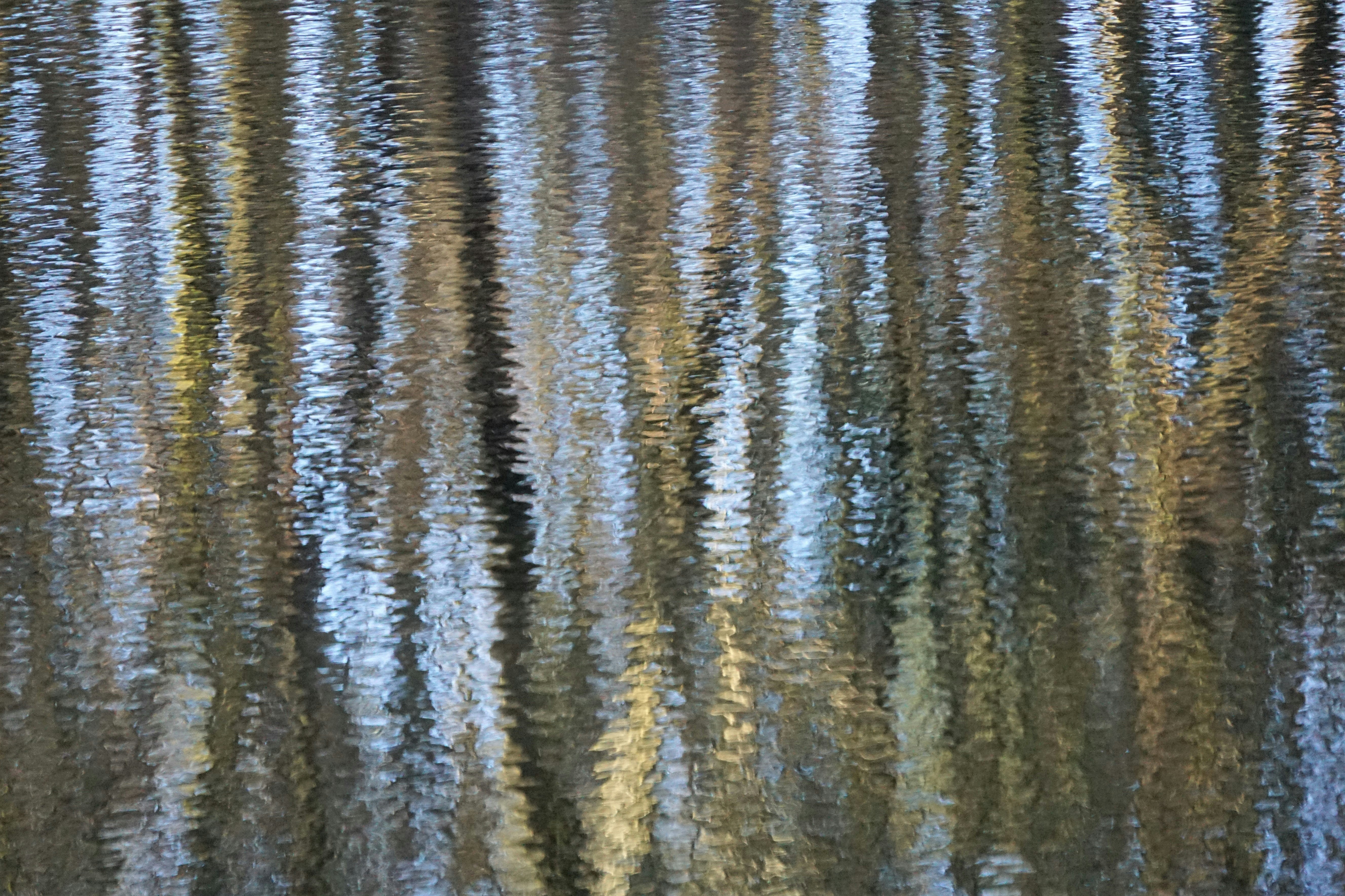 Photo by mostlymarvelling