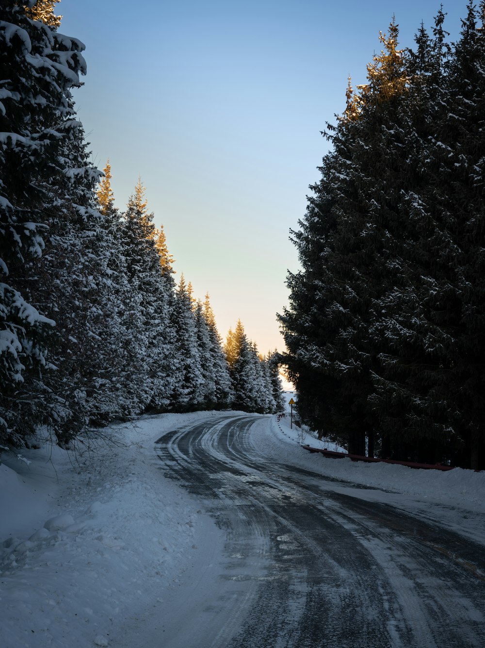 a snow covered road surrounded by pine trees