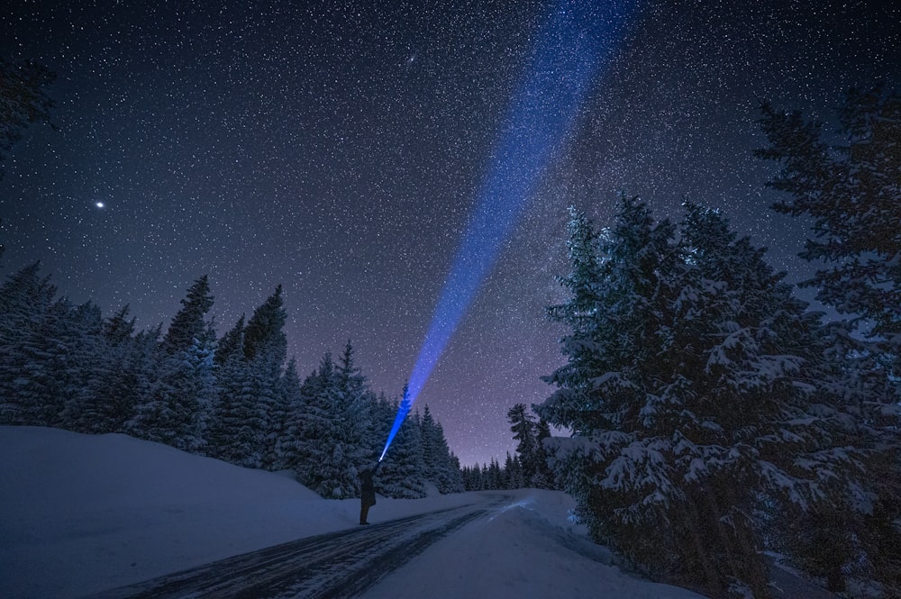 a person standing on a snow covered road under a sky full of stars