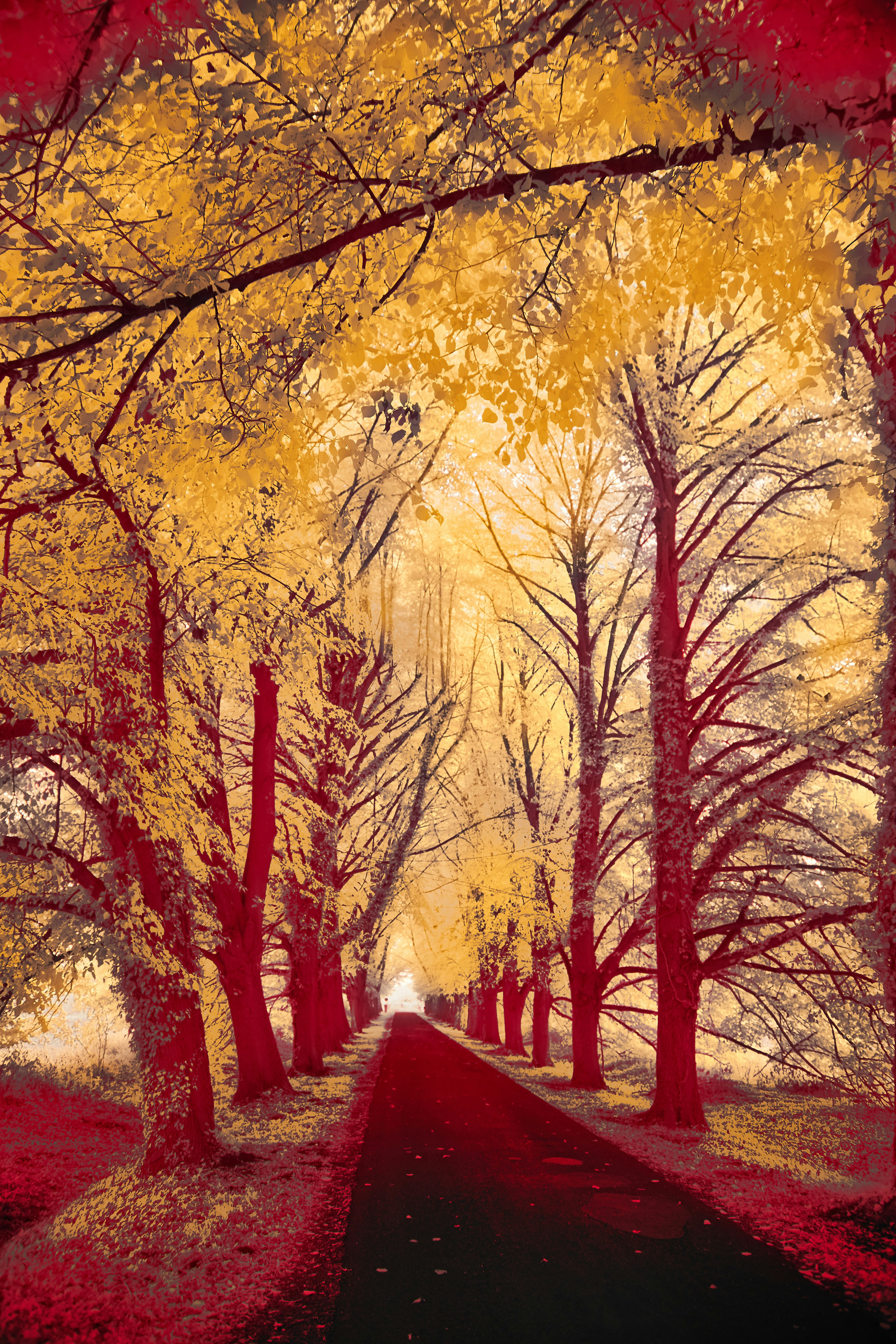 Photo by wolfgang_hasselmann