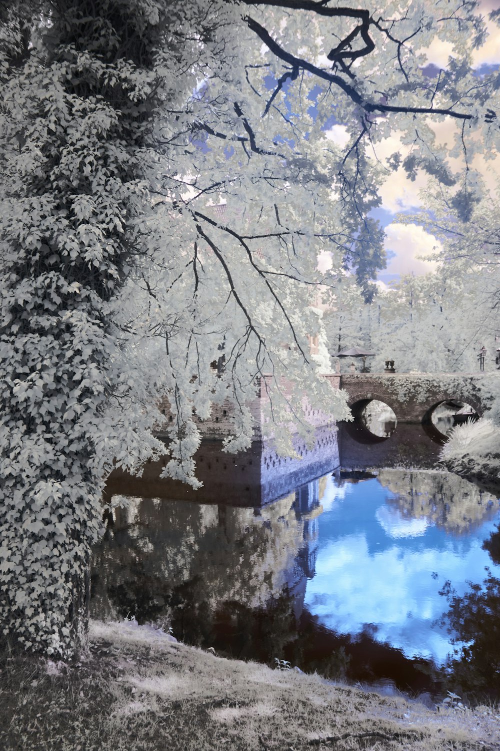 a pond with a bridge in the background