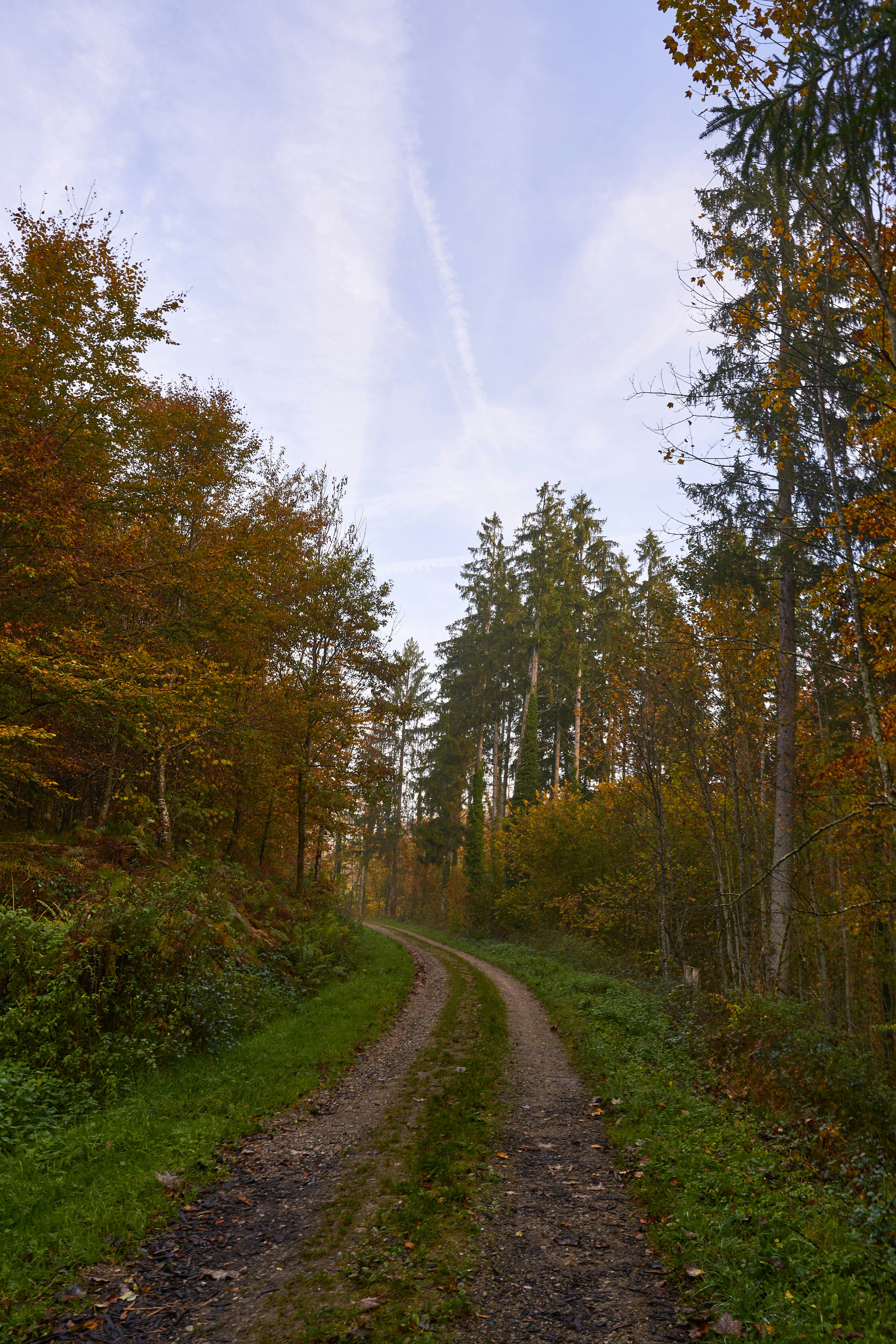 Photo by wolfgang_hasselmann