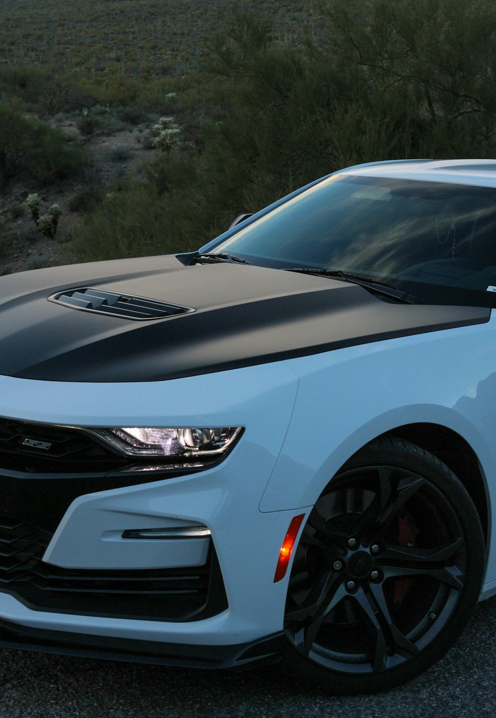 a white car with a black hood parked on the side of the road