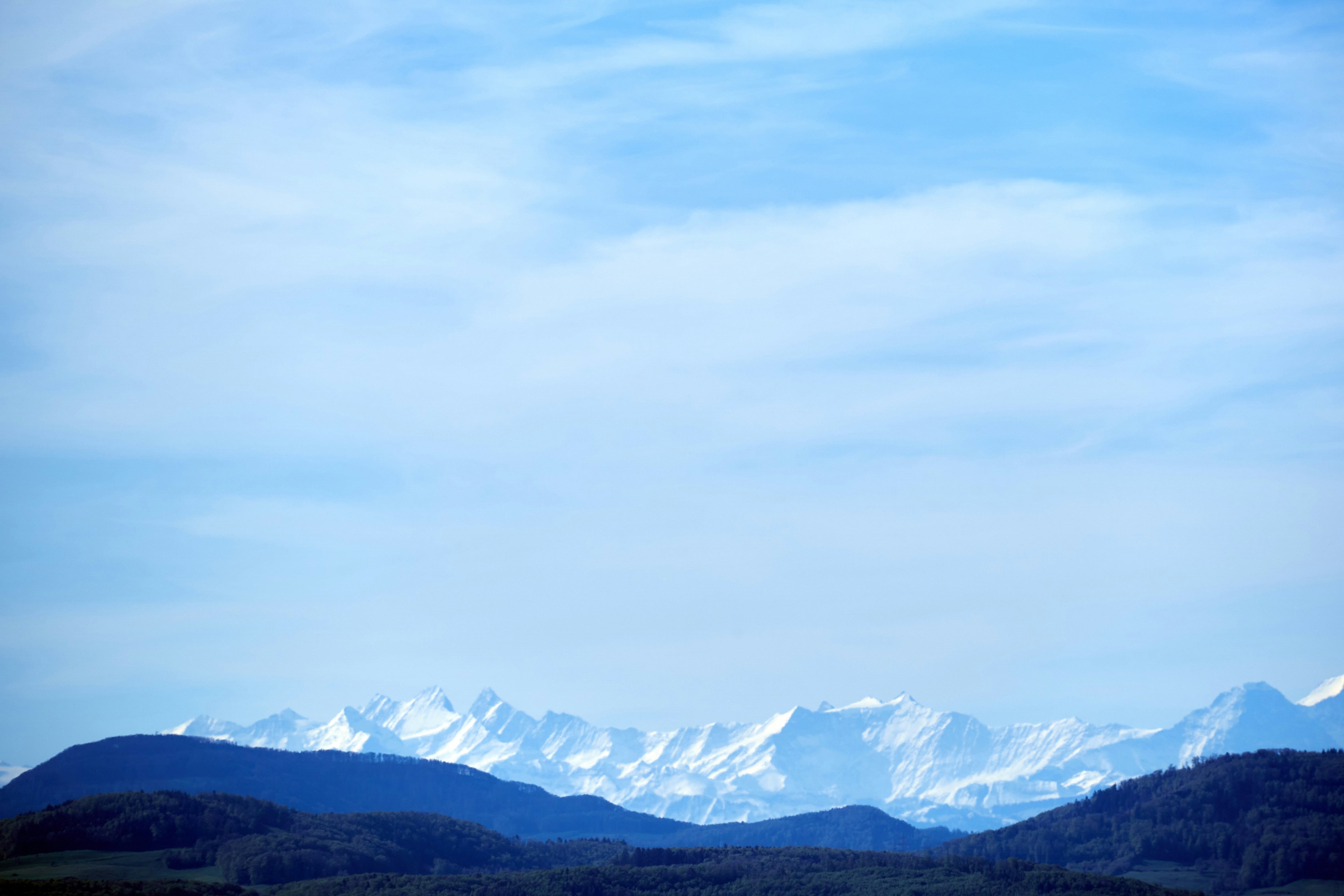 Photo by wolfgang_hasselmann