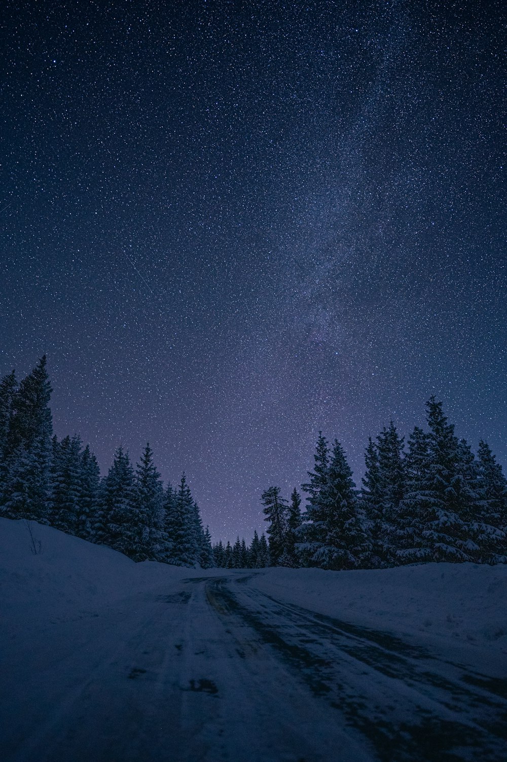 a snowy road with trees and a sky full of stars