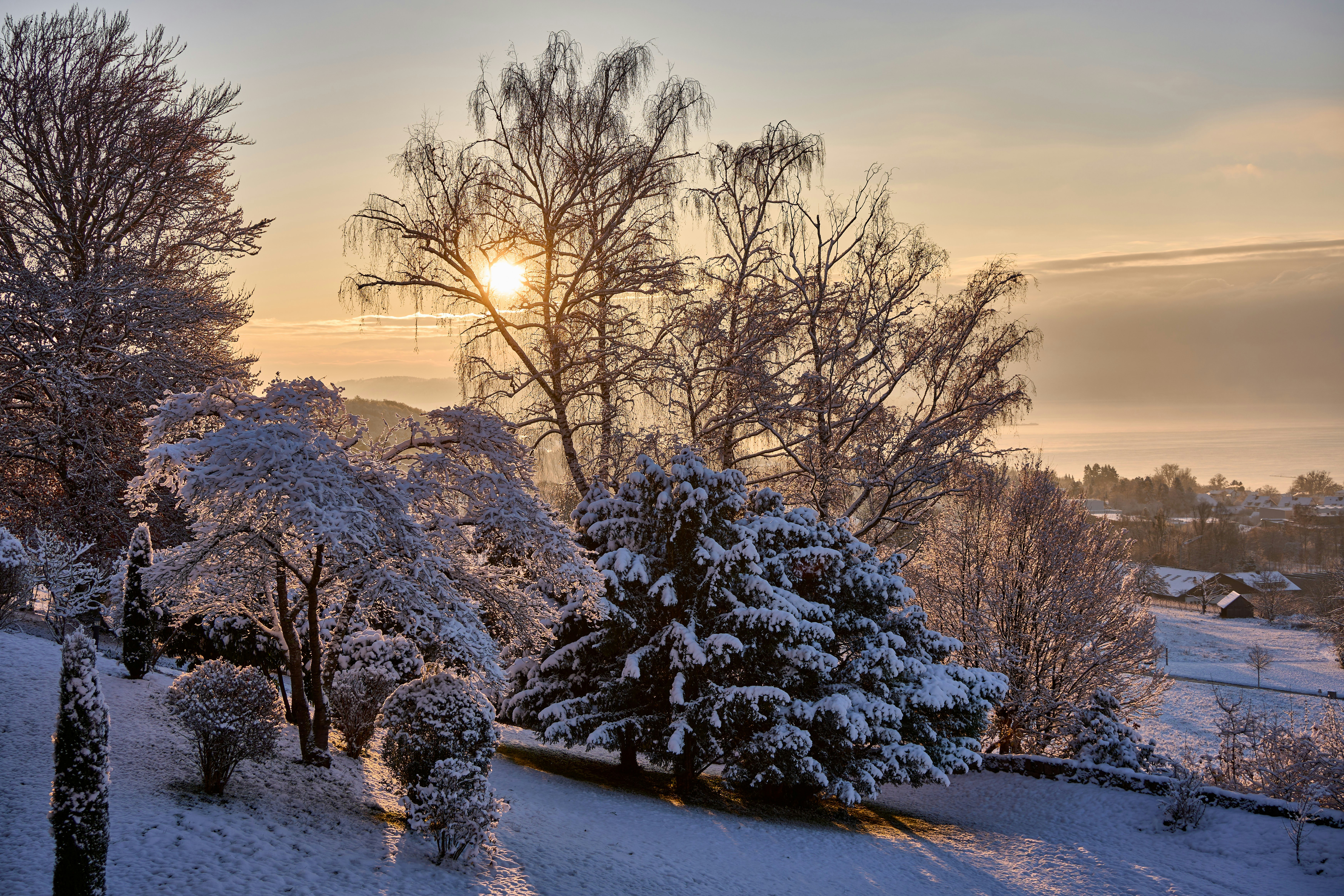 Photo by wolfgang_hasselmann