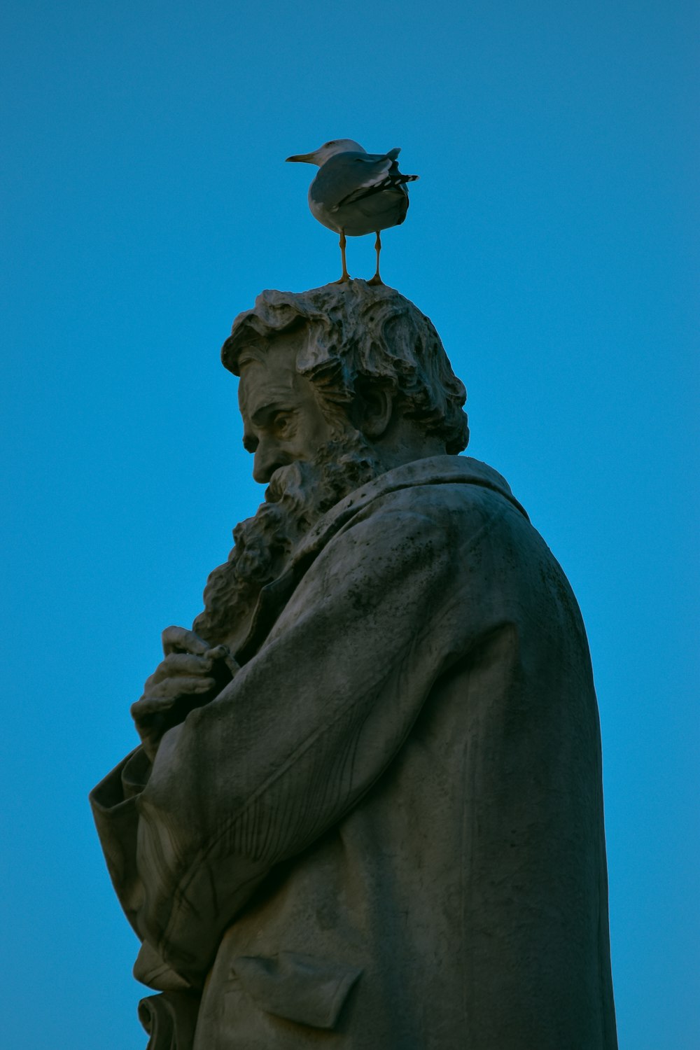 un uccello seduto sulla cima di una statua di un uomo