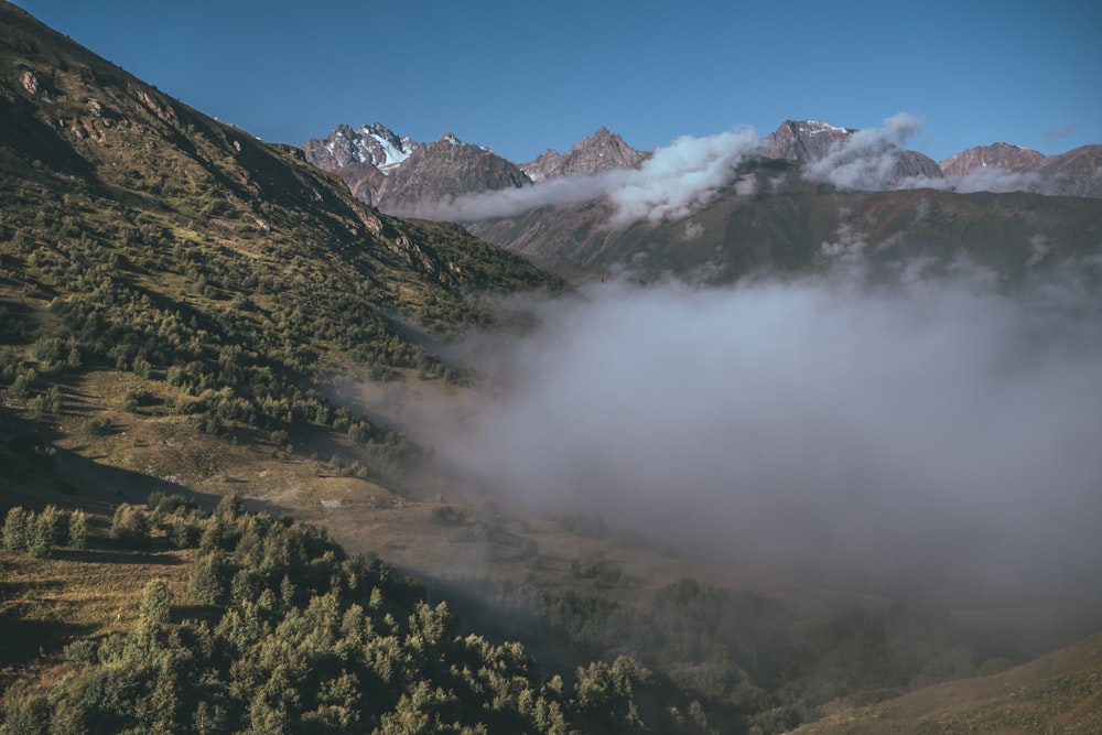 a view of a valley with mountains in the background